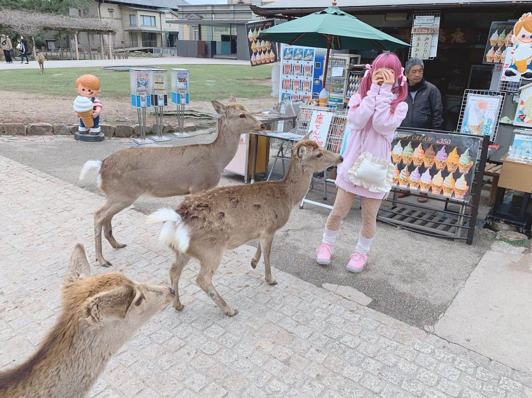 空亜さんのインスタグラム写真 - (空亜Instagram)5月13日 23時05分 - kuua_oyasumi