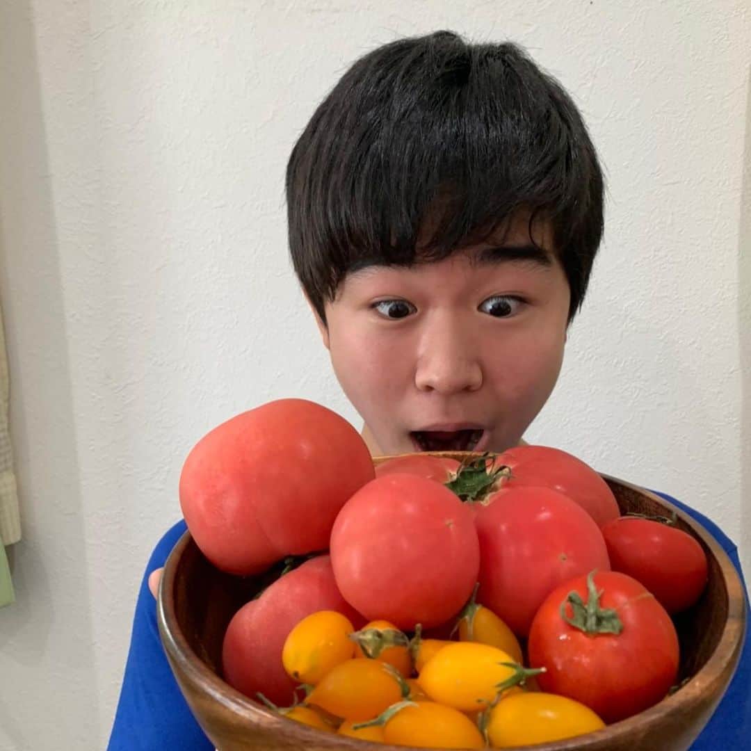 鈴木福さんのインスタグラム写真 - (鈴木福Instagram)「トマトが届きました！ 僕の叔父さんは、群馬で農家をしていて、いつも野菜を送ってくれたり、会った時にくれます。  めちゃくちゃ美味しい！！ 免疫力アップして、元気に過ごします！  #トマト#群馬#叔父さん#農家#おいしい」5月13日 23時09分 - s_fuku_te