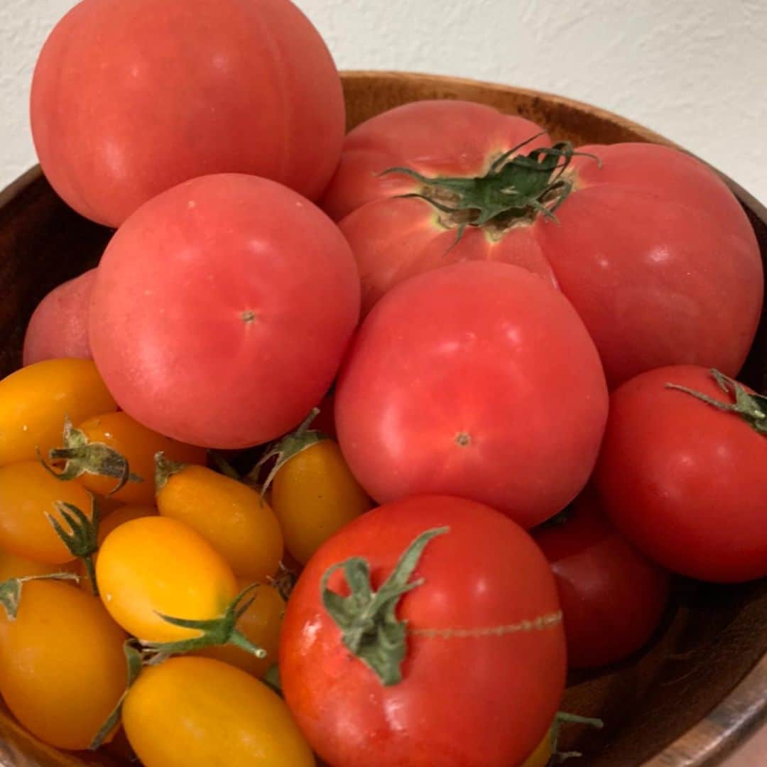 鈴木福さんのインスタグラム写真 - (鈴木福Instagram)「トマトが届きました！ 僕の叔父さんは、群馬で農家をしていて、いつも野菜を送ってくれたり、会った時にくれます。  めちゃくちゃ美味しい！！ 免疫力アップして、元気に過ごします！  #トマト#群馬#叔父さん#農家#おいしい」5月13日 23時09分 - s_fuku_te