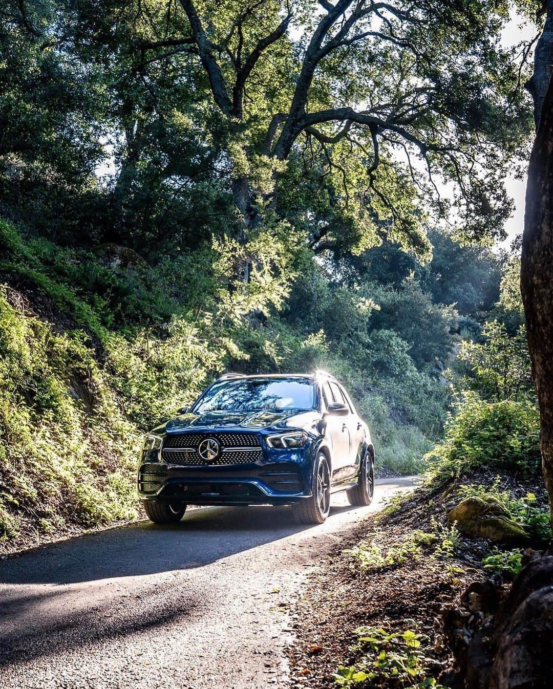 メルセデス・ベンツさんのインスタグラム写真 - (メルセデス・ベンツInstagram)「Head towards the sun. Feel and experience the GLE with all its strengths.  @colewalliser for #MBphotopass via @mercedesbenzusa  #MercedesBenz #GLE #allkindsofstrength」5月13日 23時13分 - mercedesbenz