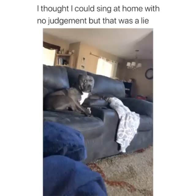 Funny Postsのインスタグラム：「••••••••••• 😂 He's just checking to make sure I'm not dying 💬 Video by: @tbcreationssglittercompany 🎥 Double tap for more videos!」
