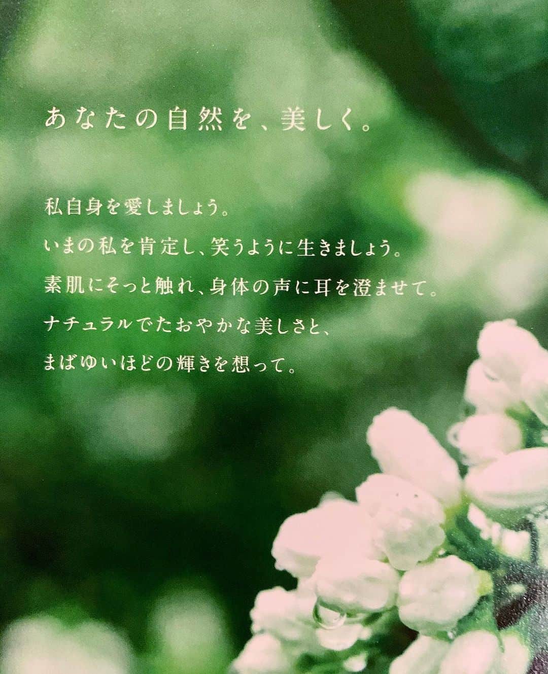 早坂香須子さんのインスタグラム写真 - (早坂香須子Instagram)「． あなたの自然を、美しく。  私自身を愛しましょう。 今の自分を肯定し、笑ように生きましょう。 素肌にそっと触れ、身体の声に耳を澄ませて。 ナチュラルでたおやかな美しさと、 まばゆいほどの輝きを想って。  これがネロリラボタニカ立ち上げから大切にしているメッセージ。 ．  肌の再生 心の再生 土壌の再生  はブランドのテーマ。  杉谷惠美ちゃんとのネロリラ裏話しは尽きず、長い時間にもかかわらず、沢山の方が参加してくれたと聞きました。心からありがとう♡  みなさまイイヨルを おやすみなさい⭐」5月13日 23時21分 - kazukovalentine