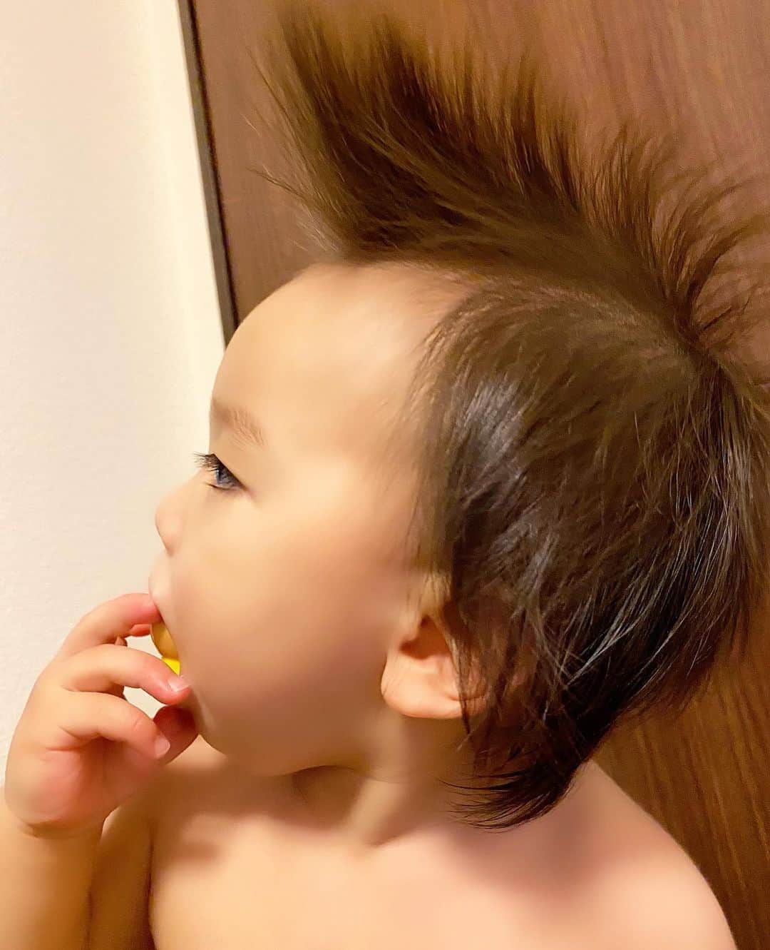Momoeのインスタグラム：「おれ、将来スネオになりてえんだ。 . . （食べてるものはアンパンマンのおもちゃ） （パパのドライヤーのセンス） （ママが乾かしてもこんなんになったことない） （ドライヤーのクセが凄すぎるんじゃ） （クセが凄いって個人的に好きなんだけどもうブーム終わった？） （インスタグラムってハッシュタグつけときゃいいみたいなところあるよね） （私はカッコの魔神でいくぜ） . . #happy #家事 #育児 #family #家族 #boy #smile #男の子 #息子 #code #love #lucky #kids #子供 #thankyou #宝物 #ベビー #fashion #follow #boy #パパ #ママ #家族写真 #男の子ママ #赤ちゃん写真 #photo #子育て #1歳 #flower」