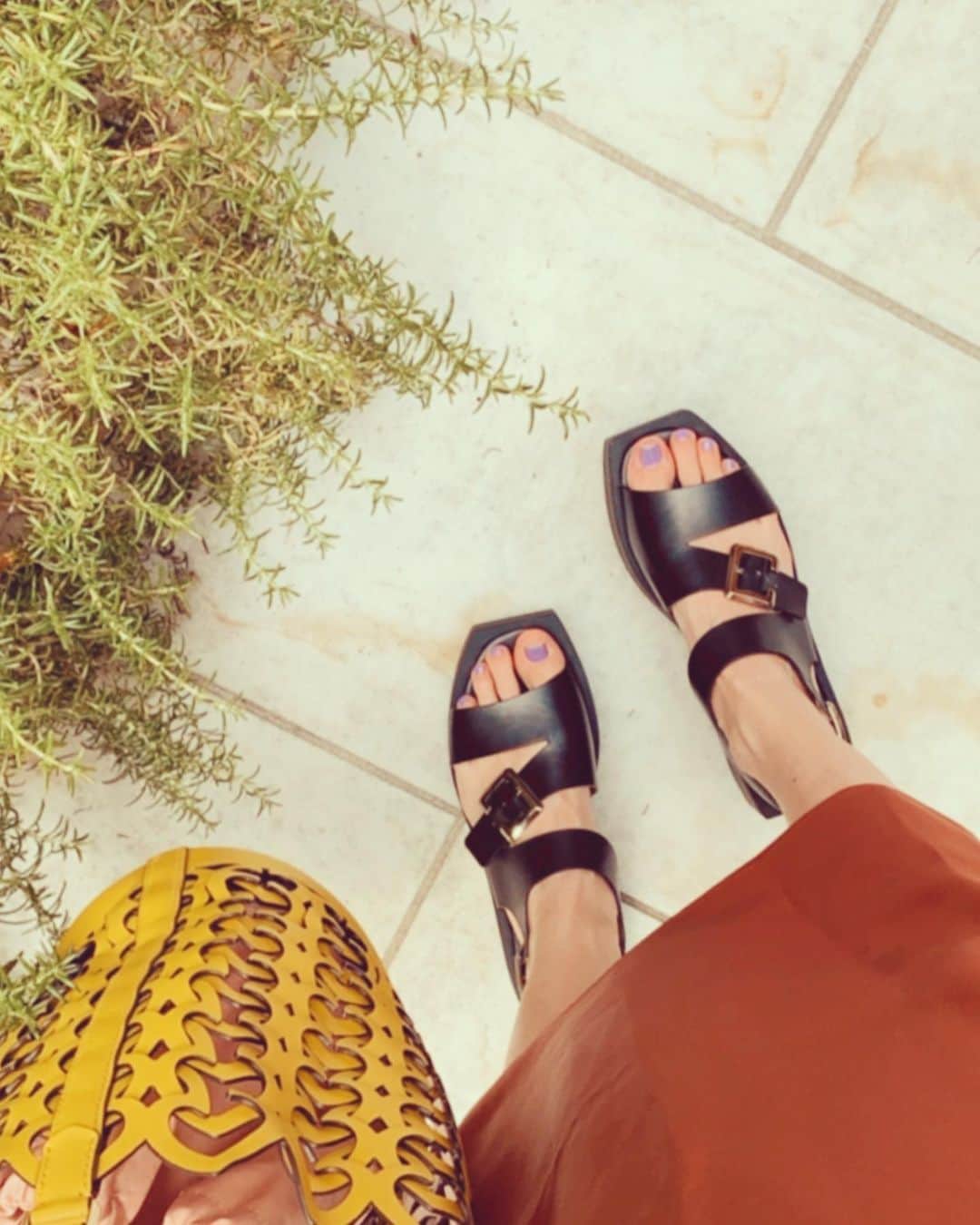 のインスタグラム：「@clergerie 👡👡 . . 建築的なデザインと履き心地に一目惚れ🌿🍃 . . . . . . . #clergerie #helenkaminski  #katespade #wakanozawa #bayflow」