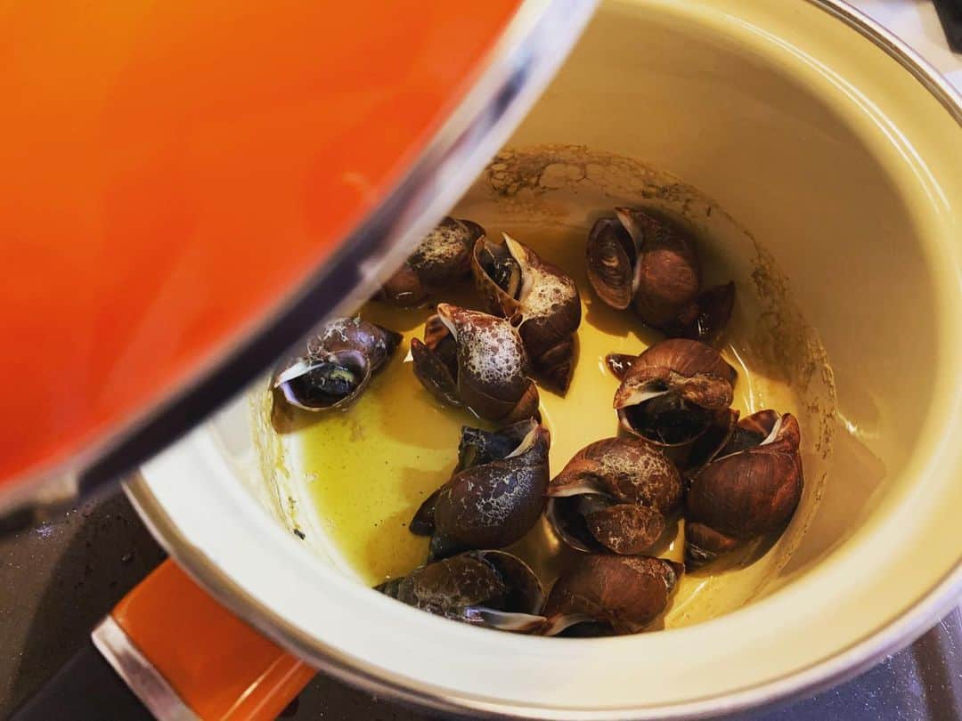 神谷洵平さんのインスタグラム写真 - (神谷洵平Instagram)「鮮魚屋で見つけた黒バイ貝を煮る。なんだかイケメンに撮れました。」5月14日 0時28分 - junpeikamiya