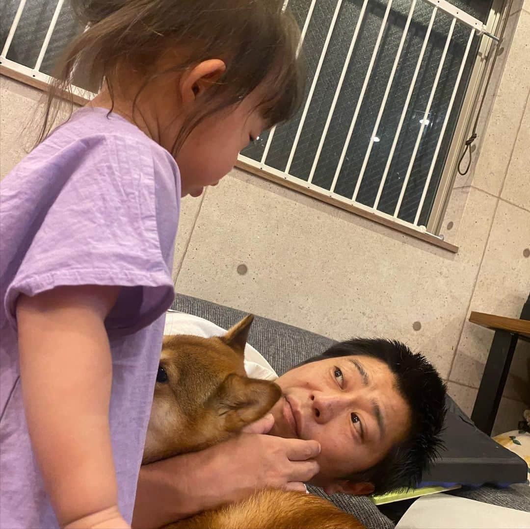 尾形貴弘さんのインスタグラム写真 - (尾形貴弘Instagram)「今日も娘達がかわいかったよ！！ #柴犬大好き #柴犬マニア  #愛犬  #赤柴 #しばけん  #しばちゃん  #しばいぬ大好き  #shibainu  #shiba_snap  #犬ばか部  #いぬばか部 #ミク #三九 #39 #パンサー尾形 #赤ちゃん #赤ちゃんのいる暮らし #赤ちゃんと犬 #2歳 #ミクサクタカヒロ #サンキュー #ママリ #ベビフル」5月14日 0時43分 - miku3_miku_9