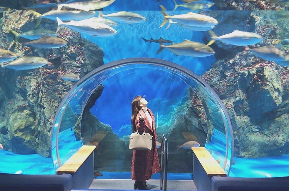 石原優衣のインスタグラム：「🐠﻿ ﻿ とっても素敵な水族館でした💎﻿ ﻿ ﻿ ﻿ #おうち時間#水族館 #のとじま水族館 #stayhome ﻿#aquarium #fishing」