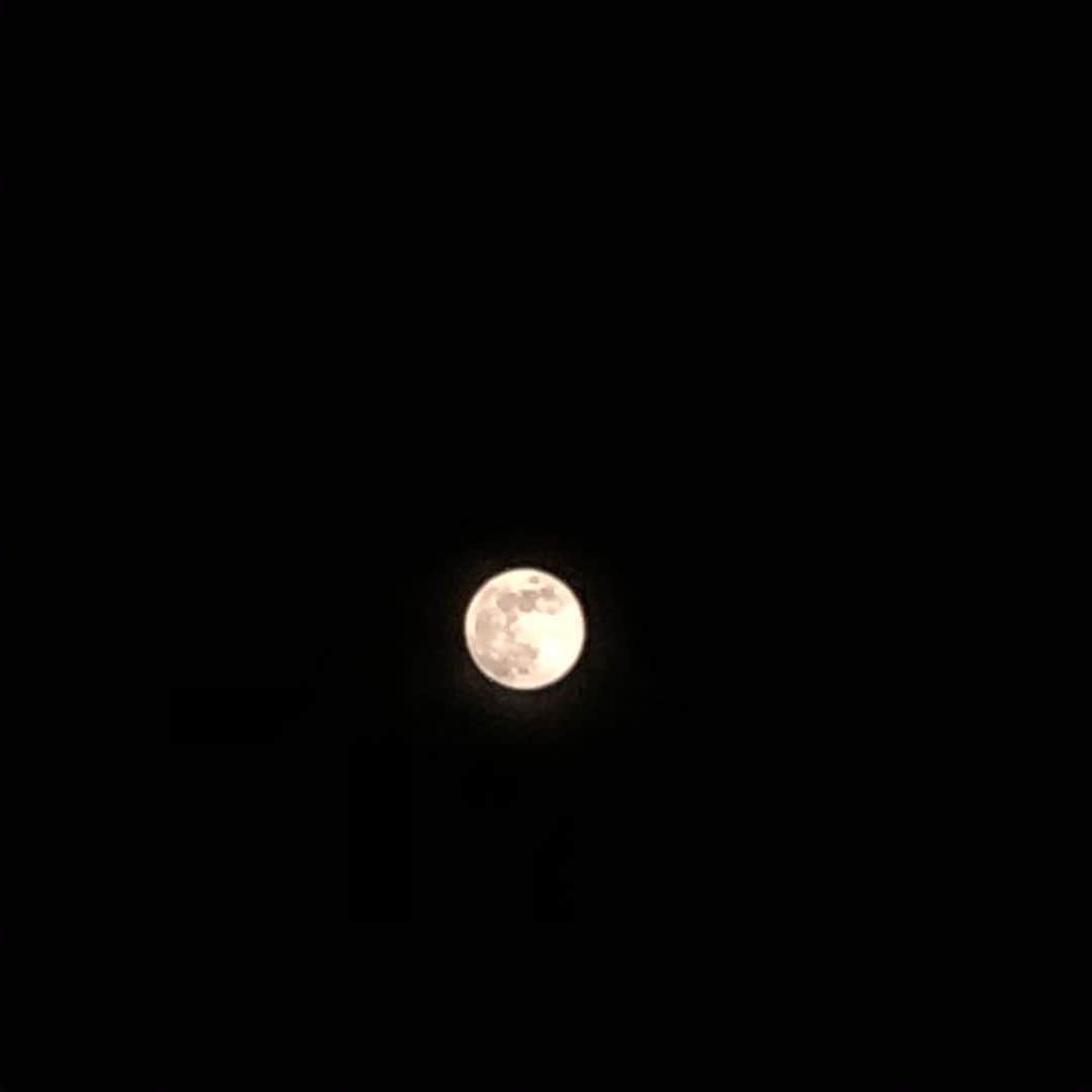 村田沙耶香さんのインスタグラム写真 - (村田沙耶香Instagram)「１週間くらい前、ベランダで満月を見ました。」5月14日 2時51分 - sayaka_murata_