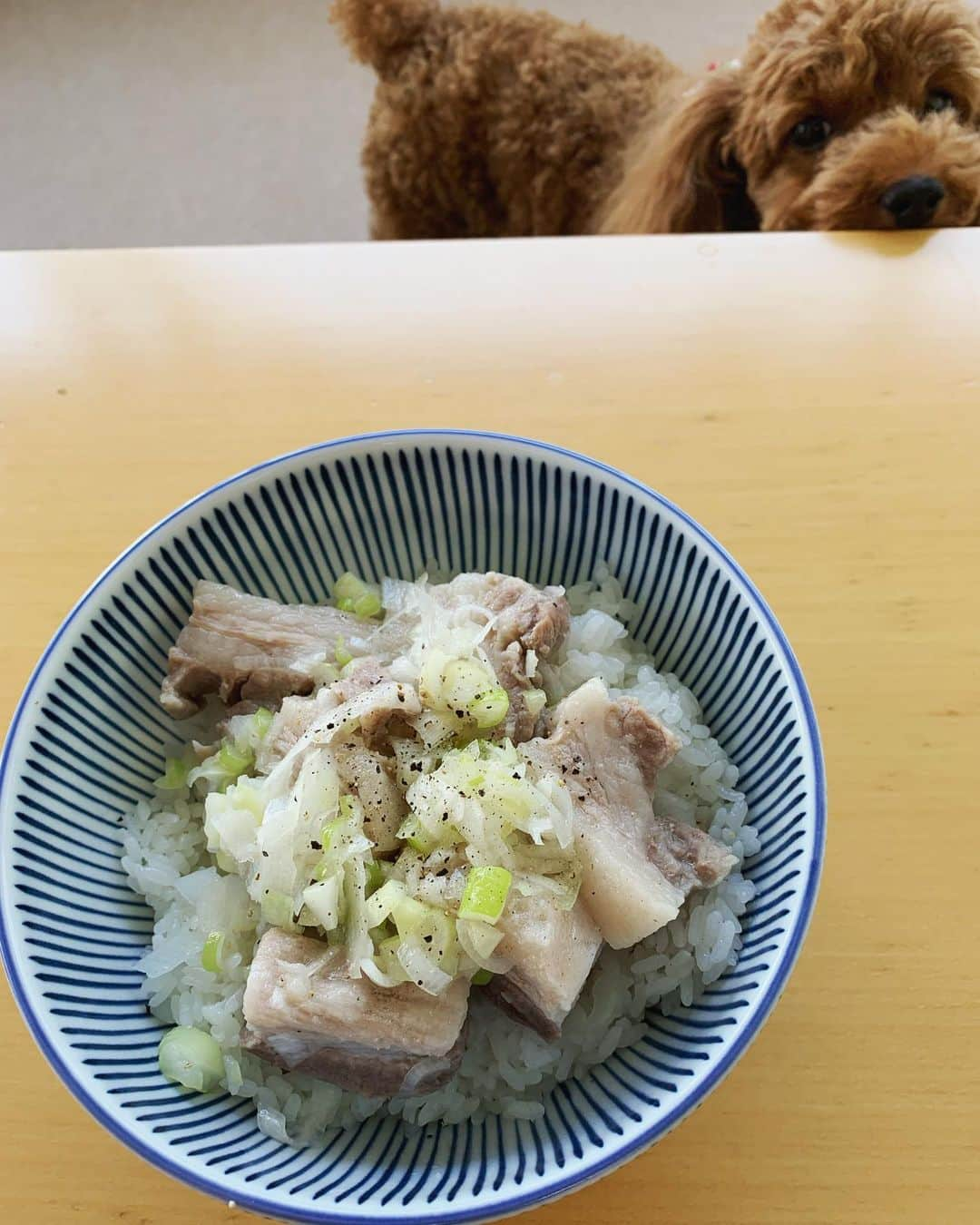 中村福之助さんのインスタグラム写真 - (中村福之助Instagram)「. #お昼ご飯つくりました。 #普段は料理しません #ネギ塩豚丼 #結構美味しい #めんまもきた #いい匂いするもんな〜 #男飯」5月14日 12時40分 - fukunosuke_3