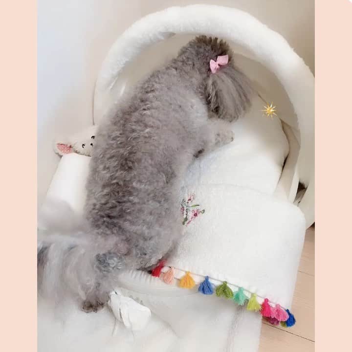 和泉佳子のインスタグラム