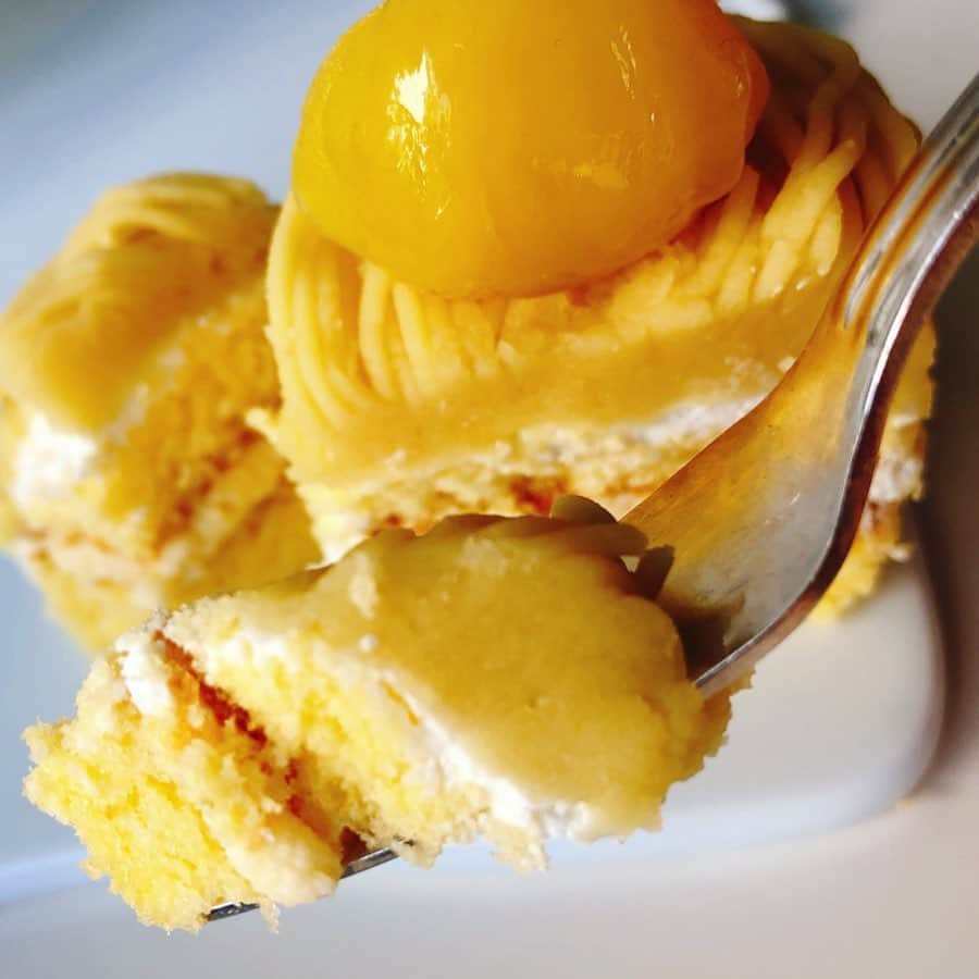 里井真由美さんのインスタグラム写真 - (里井真由美Instagram)「🏠🌰#montblanc #japanesefood  赤坂「しろたえ」のモンブラン ・ ・ 真っ黄色💛レトロ感 満載〜✨ ・ →2枚め断面)小さいながらも5層くらいになってて、栗のショートケーキに近い丁寧さ♡栗クリーム、生クリーム、スポンジ、ふわっふわです〜 ・ ・ お店は赤坂見附から徒歩2分。 青森ご出身の川越盛太郎シェフが、 1978年に赤坂に移転されたそう。この一等地で40年以上 ・ ・ 「しろたえ」と言えば！とチーズケーキ、根強い人気のプリン、シュークリームなども♡ ・ ・ #しろたえ#赤坂見附  #モンブランの世界#栗#和栗#栗スイーツ#モンブラン#フランス栗#里井真由美#衣替えモンブラン#japan#Gâteauauxmarrons#零食#さといいね#스위트#montblanc#ありが糖運動#まゆログ#甜食#fromgram#Chestnutcake#밤케이크#フードジャーナリスト里井真由美#断面モンブラン#蛋糕#断面フェチ#栗子蛋糕」5月14日 13時25分 - mayumi.satoi
