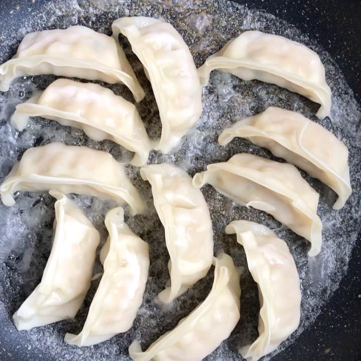 高橋文樹のインスタグラム：「最近の餃子、もう蓋さえいらないんだ。餃子のために蓋買ったのに……」