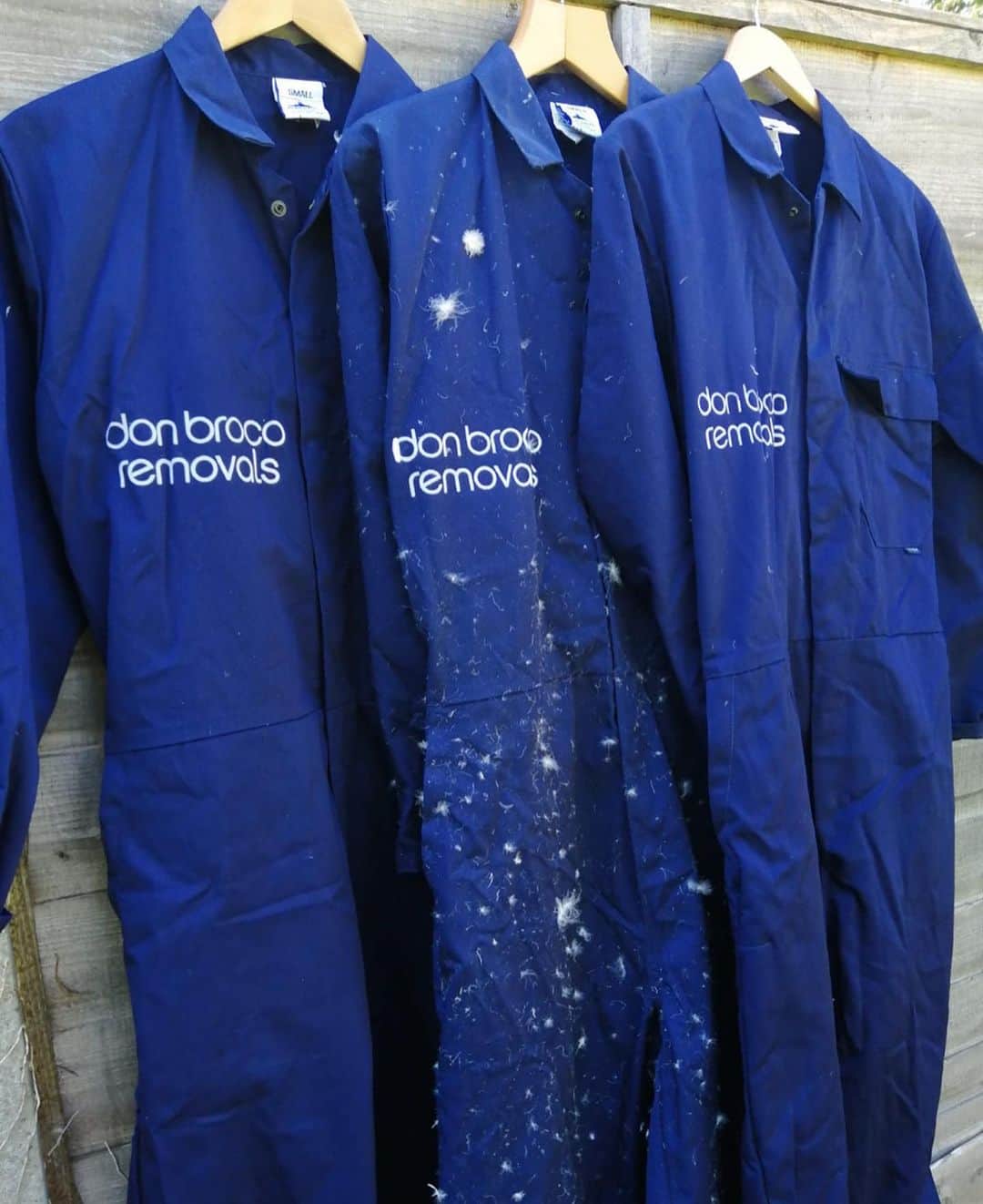 Don Brocoのインスタグラム：「The @five4fivefest NHS raffle is now live on the 545 store 🎟🎟🎟 Up for grabs: ‘Don Broco Removals’ official work wear from the Whole Truth video (incl. Tom’s still covered in feathers 😂), our lucky Broco cricket bat that we never left for tour without, Matts gone HAM artworkin one of his old drum heads + another we’re gonna all sign, the last ever Wembley skate deck, 3x @tompullenphoto photos all signed by us AND some ltd edition DB socks we’re making exclusive to this store. Good luck! 🎰 All proceeds to NHS Charities Together. five4fivefest.com」