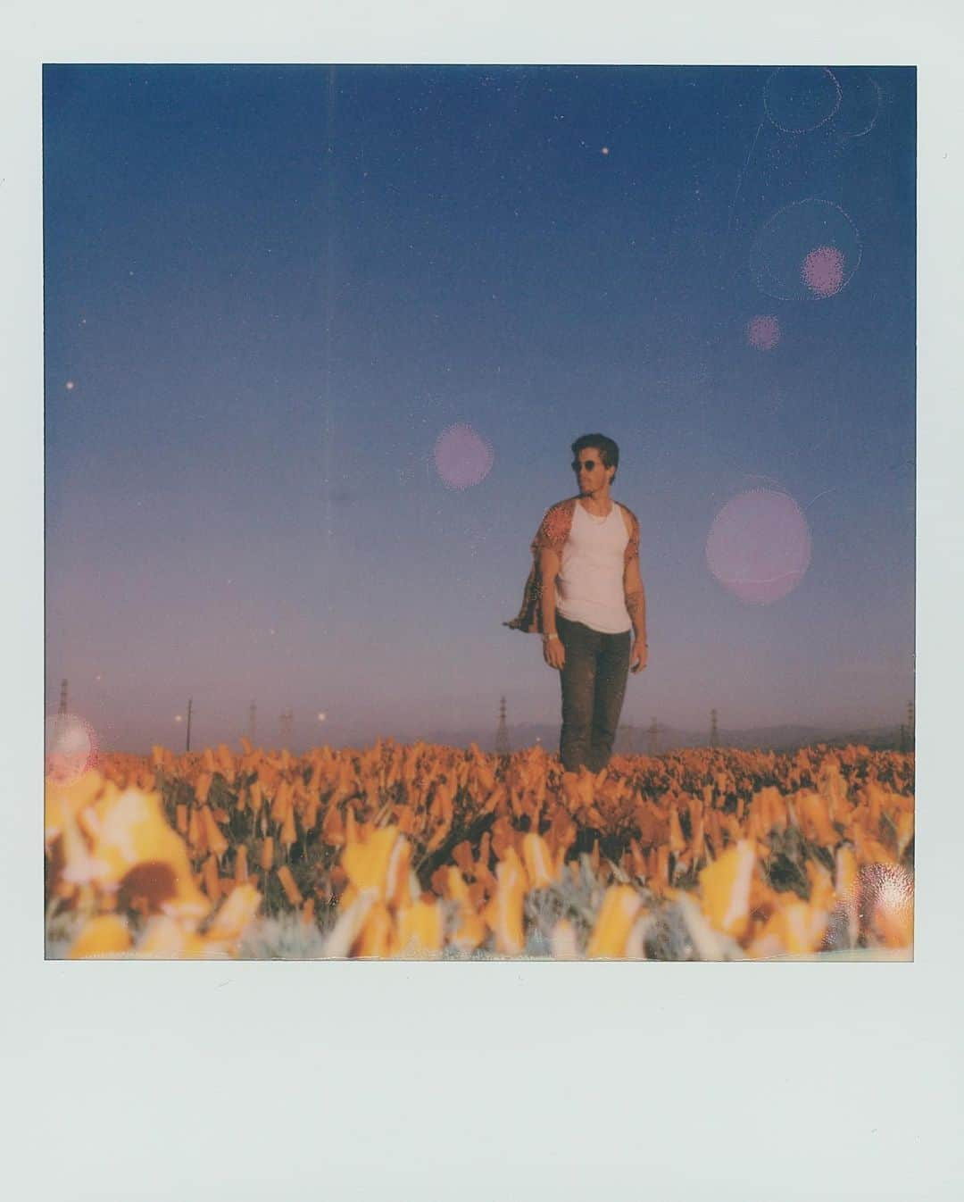 ショーン・ホワイトさんのインスタグラム写真 - (ショーン・ホワイトInstagram)「Took my polaroid to the Poppy fields 🧡🧡🧡」5月14日 5時31分 - shaunwhite