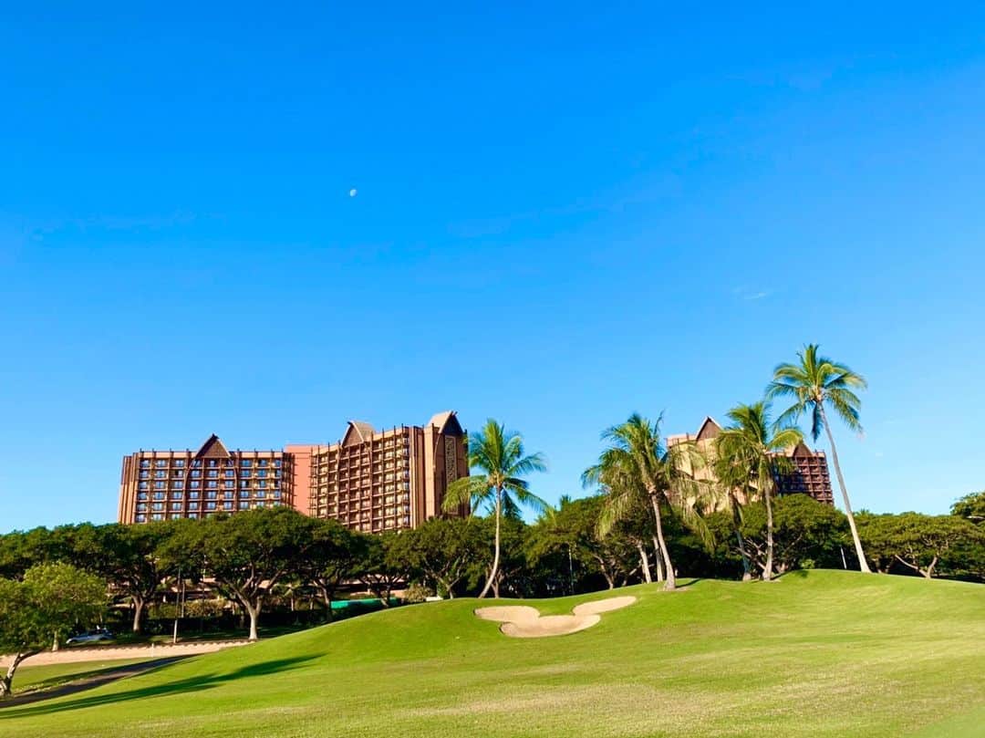 ワイキキ横丁のインスタグラム：「ハワイは今月からゴルフ場が再開🏌️‍♂️✨ 色々とルールはあるものの青空の下でゴルフができる様に🌞 今日も良い1日をお過ごしください！Aloha🌴 #ハワイ生活 #ハワイ情報 #ゴルフ」