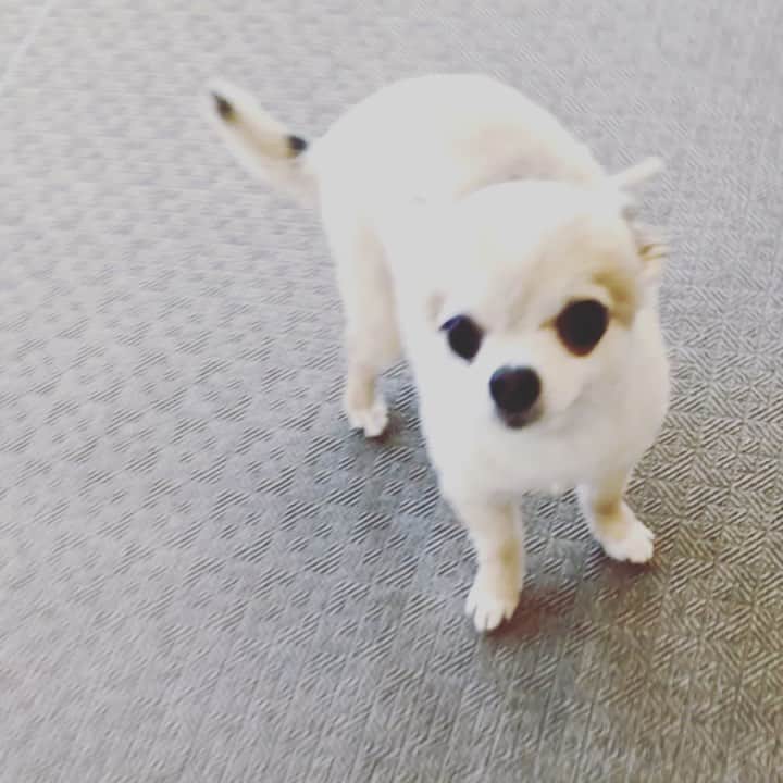 橋本塁のインスタグラム