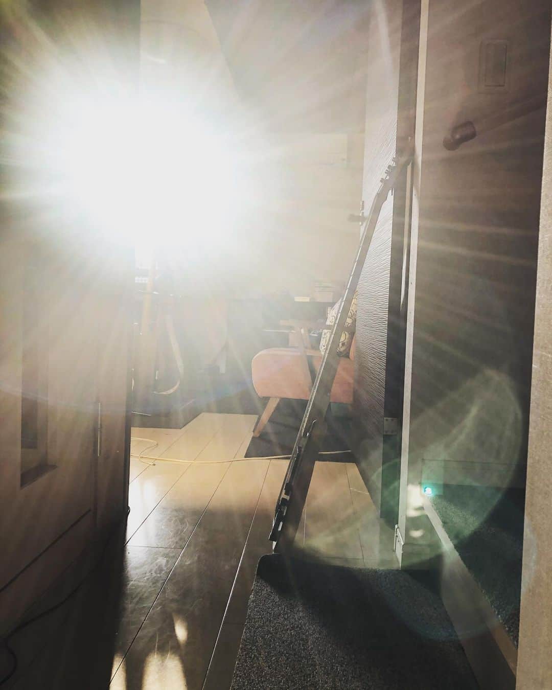 のインスタグラム：「Morning sunshine with Adamovic @adamovicbasses  I like the sun right in the studio at this early morning #Adamovic #bass #bassguitar #morning #sunshine #room #studio #musicianlife #studiolife #stayhome #朝日 #ベース」