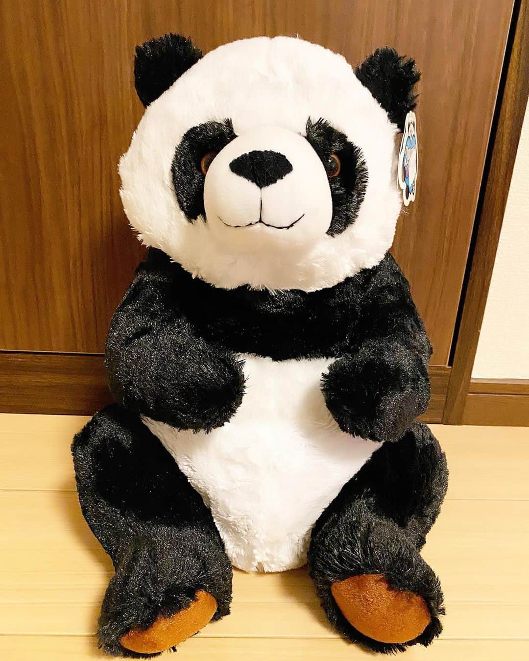 Momoeのインスタグラム：「はじ姉からのプレゼント🐼🎁❤️ ＋おむつとみるく🍼 ありがとうはじ姉🥺❤️ まさかプレゼント貰えるなんて 思わなかったからびっくり😳 みよぱんだ君気に入りすぎて笑う（笑） 触り心地いいから毎日遊んでるよ😂✨ 「これをおれだと思ってね」 的な事を言っていたよと夫から聞きました。 それは聞かなかったことにします。 . . #happy #家事 #育児 #family #家族 #boy #smile #男の子 #息子 #code #love #lucky #kids #子供 #thankyou #宝物 #ベビー #fashion #follow #boy #パパ #ママ #家族写真 #男の子ママ #赤ちゃん写真 #photo #子育て #1歳 #パンダ」