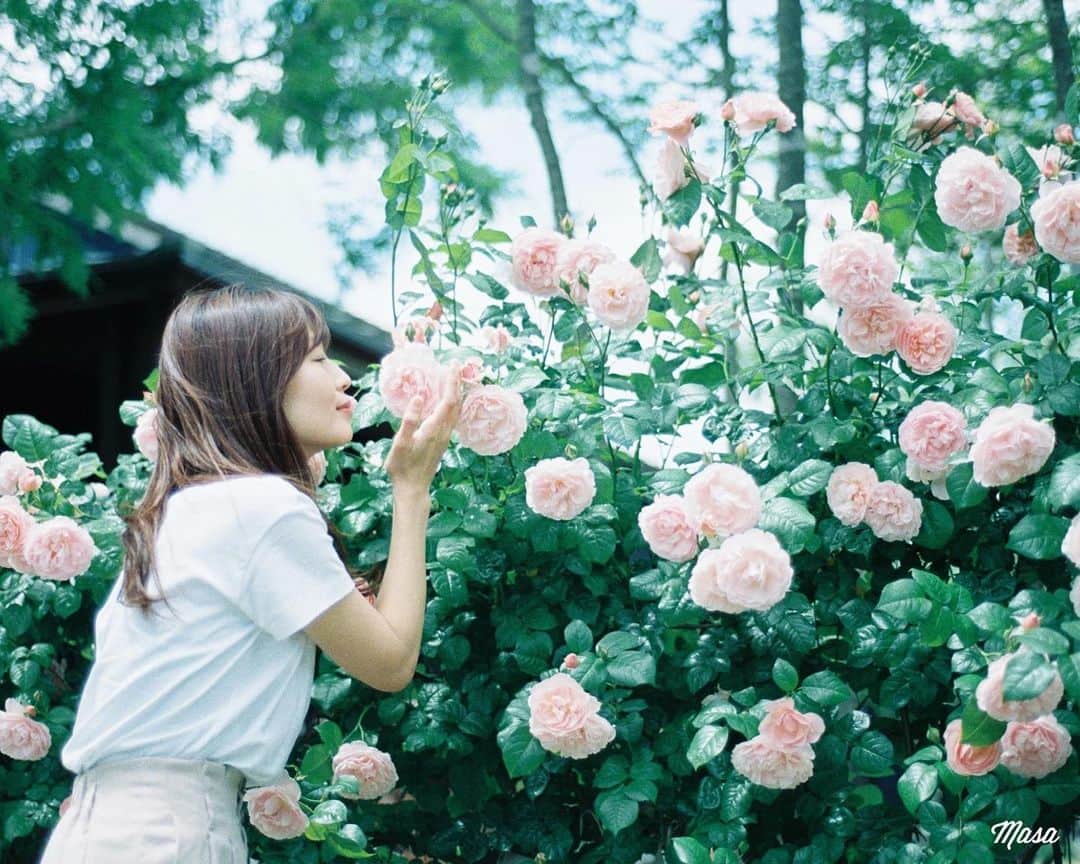 Masaのインスタグラム