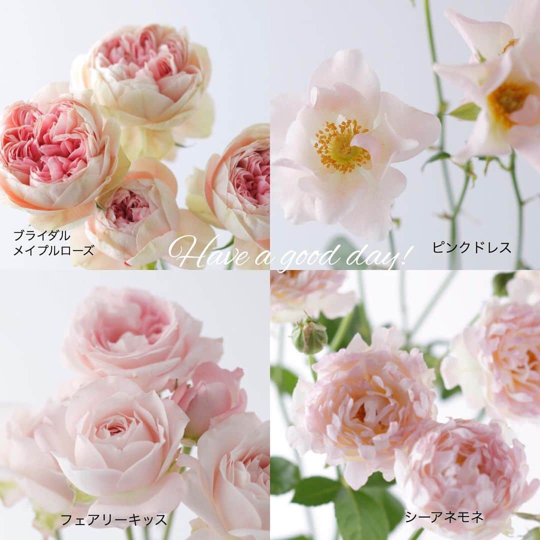 雑誌『花時間』のインスタグラム