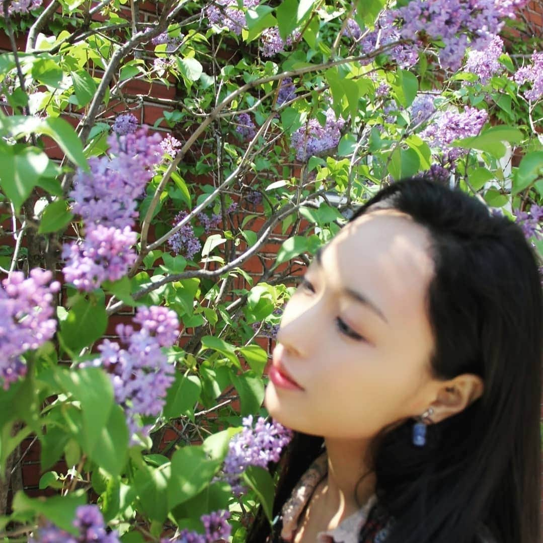 鈴木みほさんのインスタグラム写真 - (鈴木みほInstagram)「Spring weather came back to Toronto after the snowstorm and I feel like these photo↑🌸 🌷🌹🌺🌻🌼💐🏵️ photo by @empiggford  2019 Emily and I walked around the town, I took her pictures and she took mine. It was a lovely day 😊  去年の春はドラマで共演したエミリーとカメラを持って街に出て撮りあいっこ。素敵な春の日。吹雪が去って春らしい日が戻ってきて今はこの写真みたいな気分😊🌸 . . #spring #photoshoot #slr #canon60d #photoshoot #warigami #emilypiggford #mihosuzuki #なんの花 #エミリー #ワリガミ #春に」5月14日 11時03分 - mihyonvision