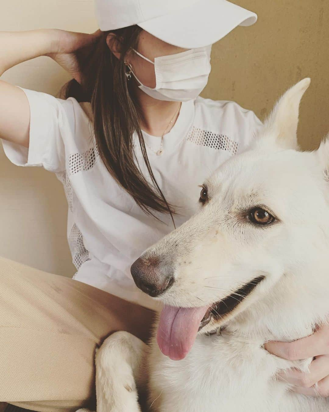 森田遥さんのインスタグラム写真 - (森田遥Instagram)「あまえんぼさん。🐶🤎🤍 . . . #ホワイトシェパード #whiteshepherd  #夏バテ気味  #ゼロ」5月14日 11時19分 - moritaharuka5588