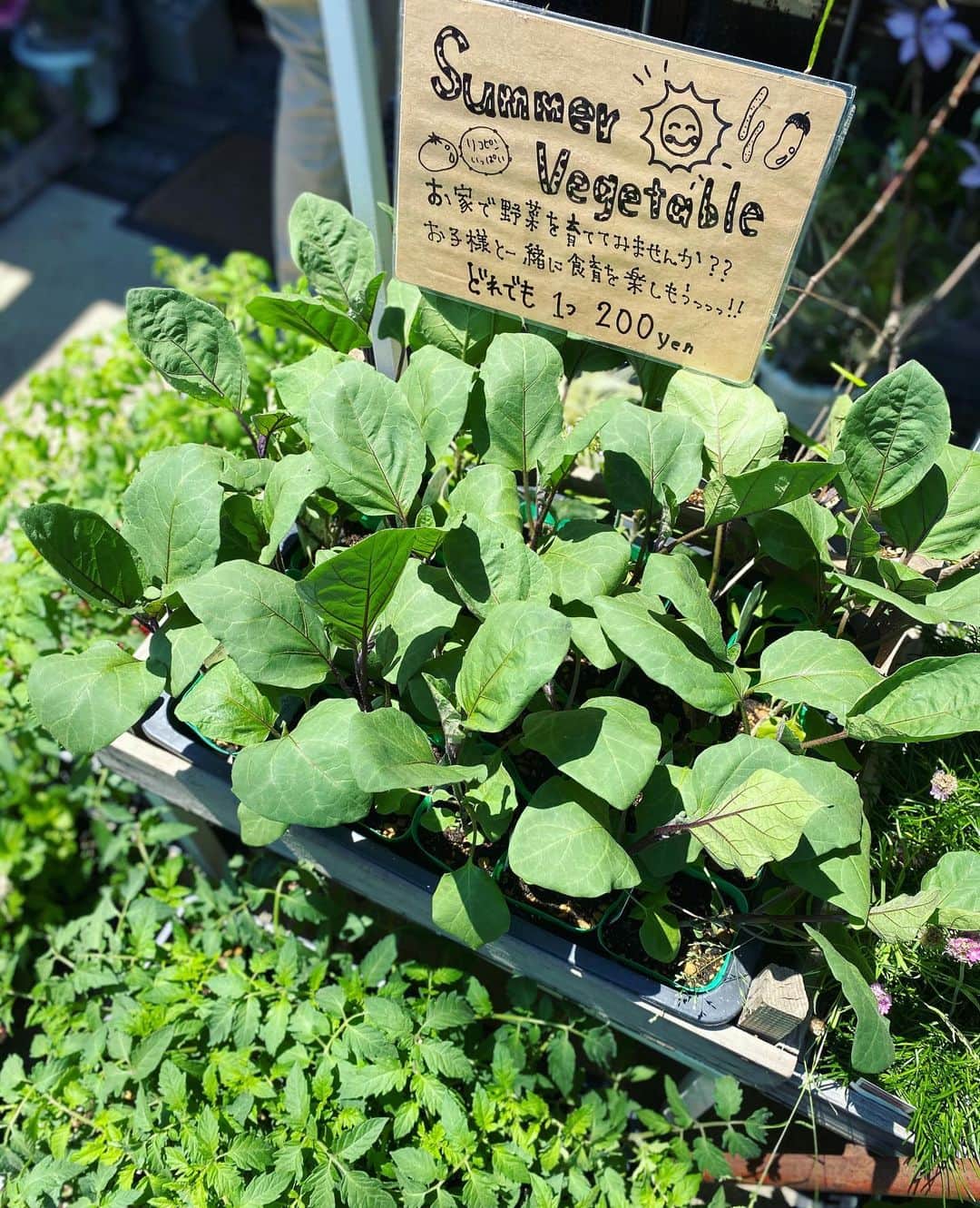 MILLE ECLAT.のグルメインスタ