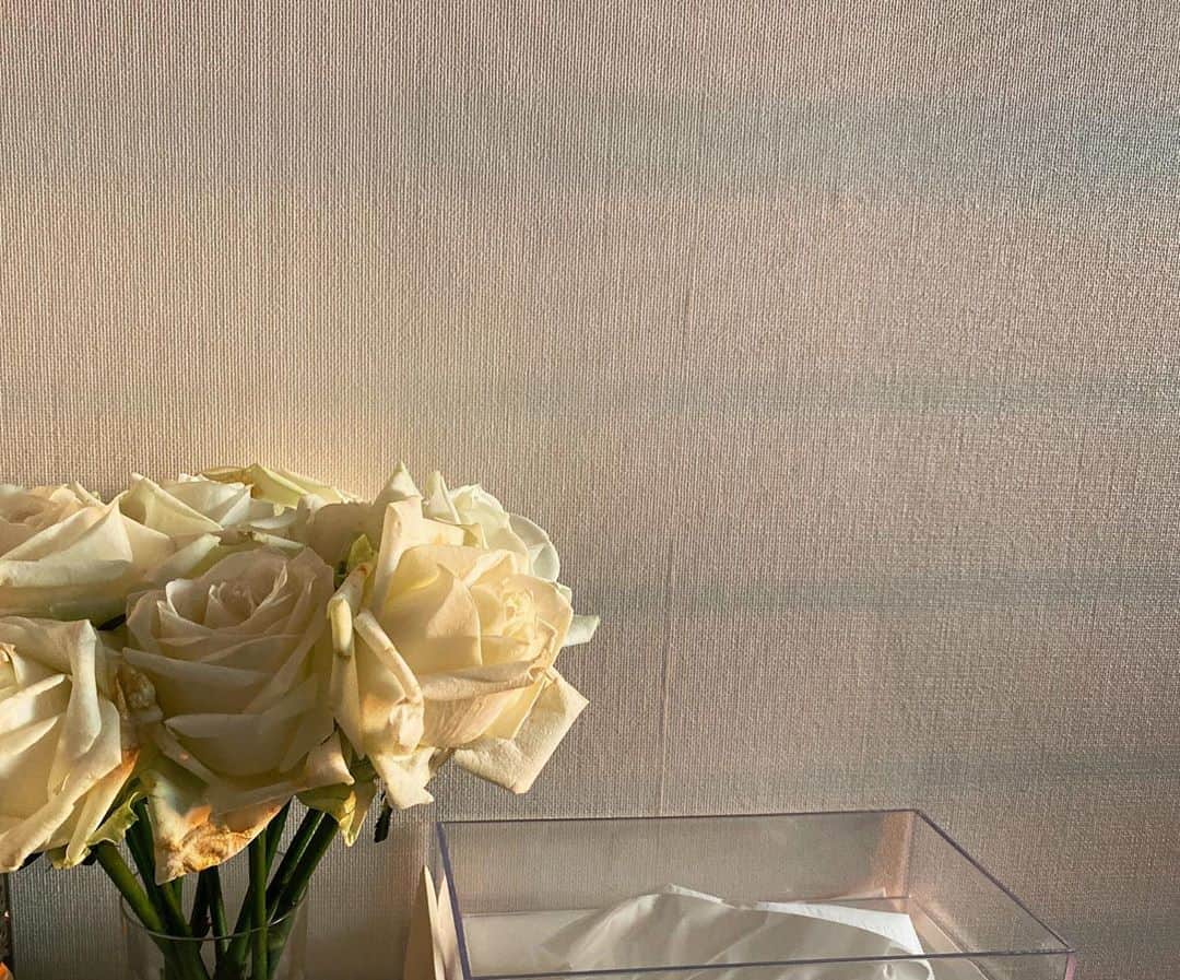 のインスタグラム：「白いお花と部屋に差し込む夕日が好き🌇🤍」
