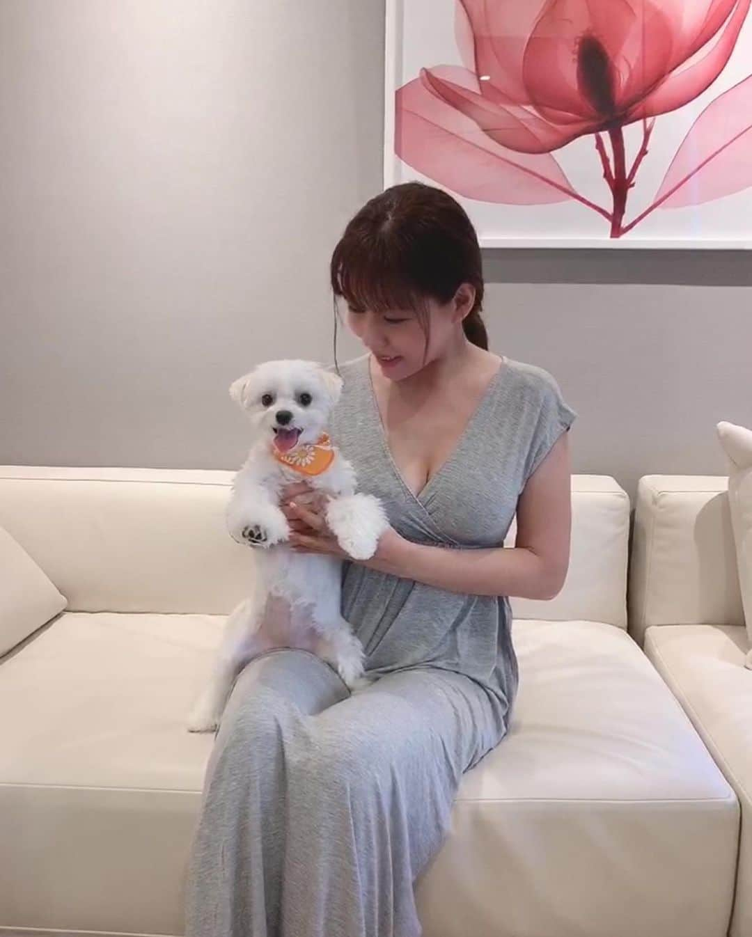 本田裕子さんのインスタグラム写真 - (本田裕子Instagram)「【変容をもたらすチャクラ】 . まりん🐶笑ってる〜😄 . （まりんは本当に分かりやすくて全て顔に出るし、表情豊かなんだけど、最近よくこんな表情する♡） . . …… それはさておき、 素敵なメロディーや 魂に響く歌を聴いて 感動すると、 自分でも歌ってみたくなるよね。 . （うまいか下手かは別として。笑） （とはいえ、お風呂で歌うと普段より、ちょっぴり上手く感じたり😆） . . 又、何かすごい感動的なことがあったら誰かに話したくなったり、シェアしたくなったり🗣 .  つまり、ハートが開くと 歌いたくなったり 話したくなったり 表現したくなるんです。 （子供がいい例👧🏻🧒🏻） . 🐶だって、お尻をくっ付けてくるのは、 これ以上ない「信頼の証し」だと言われています。 . （ワンちゃんにとってお尻は完全に無防備な所なので、”お尻をくっ付ける”という行為は、「あなたを信用している」「あなたのことが大好き」という 愛情表現なんだそうです） . . . これも 彼女（彼）らの🐶ハートの表現♥️ . . そう。 ハートの閉じた 心の伴わない話や表現をどんだけ続けたところで、喉のチャクラは活性化しないんです。 （＝変容をもたらさない） . . ちなみに喉のチャクラ（第5チャクラ）は、感情表現を司っていて、現実創造や自己実現とも深くかかわっているチャクラなので、活性化することで、より幸運を引き寄せます✨ . . …… わたしが横になると、 すぐにひっついてきたり、 お尻を向けてきたりする愛娘🤭笑 （→📱3枚目、4枚目の写真参照🤣） . . これも愛の交流💞 形なんてどうでもいいとです♡ . . . …… 追伸 . また まりんは片目のまわりに アレルギーが出て（昨日の動画も） ちょっと荒れています😓 . 肝臓が治ったら免疫力がアップして、今まで出てなかったアレルギーが出てくるって岡山の先生に言われてた通り、食事等アレルギー対策はしてはいるけれど、術後ちょこちょこアレルギー症状が出て痒そう。。。 . . 今日はわたしの仕事の時間と、近所の動物病院の先生がいらっしゃる時間が合わなくて病院に連れて行けなかったから、明日は朝一で病院に。 . まりん🐶明日行こうね♡ . . …… #変容 #チャクラ #第5チャクラ #ハートの表現 #ハートを開く #活性化 #感情表現 #現実創造 #自己実現 #魂に響く #素敵な歌 #感動 #信頼の証 #愛情表現 #愛の交流 #愛娘まりん #表情豊か #ぜんぶ顔に出る #可愛い #おてんば娘 #ワガママ姫 #天真爛漫 #ヤンチャ #門脈シャント術後 #アレルギー #マルチーズ大好き #犬なしでは生きていけません会 #マルチーズ部 #犬なしでは生きていけません会 #本田裕子」5月14日 22時01分 - rinrin_yuko