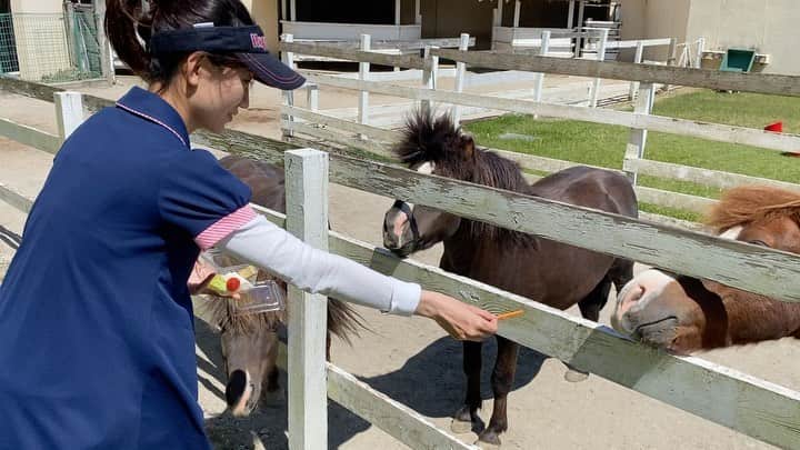 にゃんさんゴルフのグルメインスタ