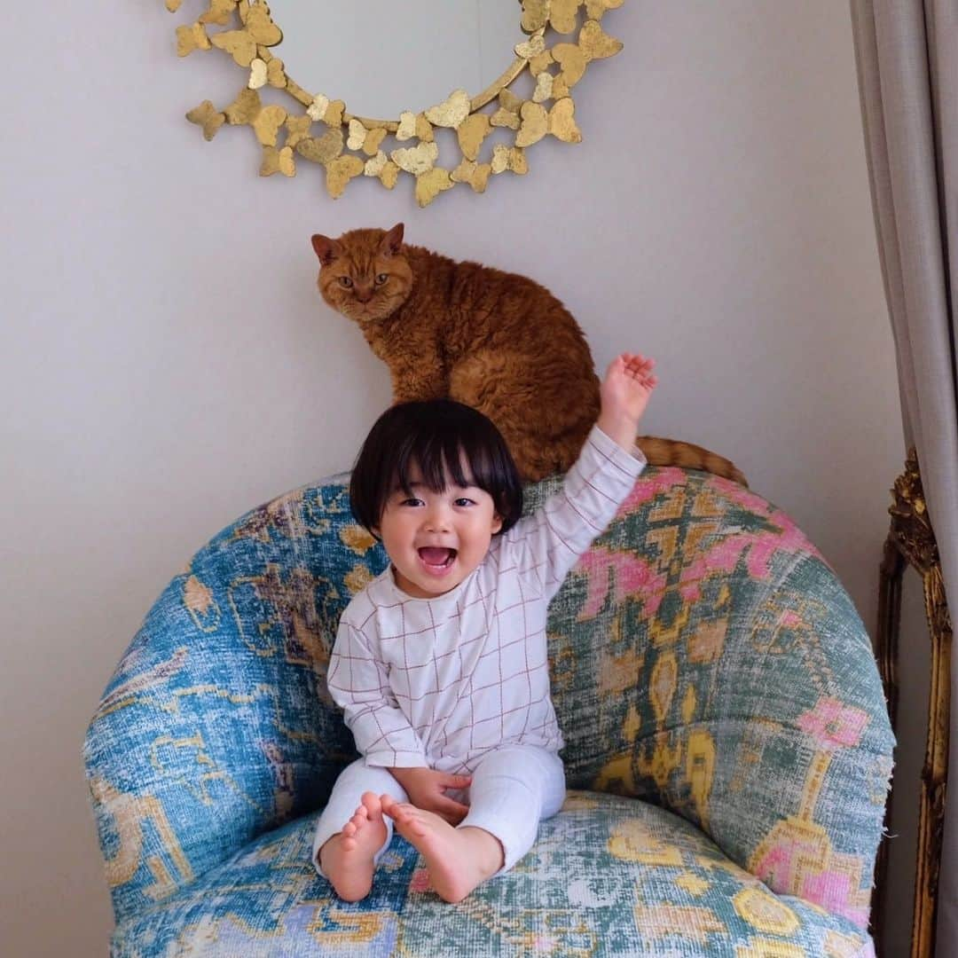 ギネス & ピムスさんのインスタグラム写真 - (ギネス & ピムスInstagram)「14/05/2020 Happy Thursday! ・ Three brothers sharing the arm chair. Have a good day everyone! #stayhome ・ ・ ロンドンから連れて帰った 家具はどれも大きく しっくり来る置き場所を いまだに模索中。笑 このアームチェアは消去法で ベッドルームへ。 懐かしい匂いがするのか ギネスがいつもころんとしています。 ・ ・ #ギネスくん　 #ピムスくん #ギネピムと凪くん  #1yearold #1歳 #1歳5ヶ月 #17monthsold  #babyboy #男の子ベビー #赤ちゃんのいる生活 #赤ちゃんのいる暮らし #赤ちゃんと猫 #猫と赤ちゃん #おうち時間」5月14日 22時30分 - rina_takei