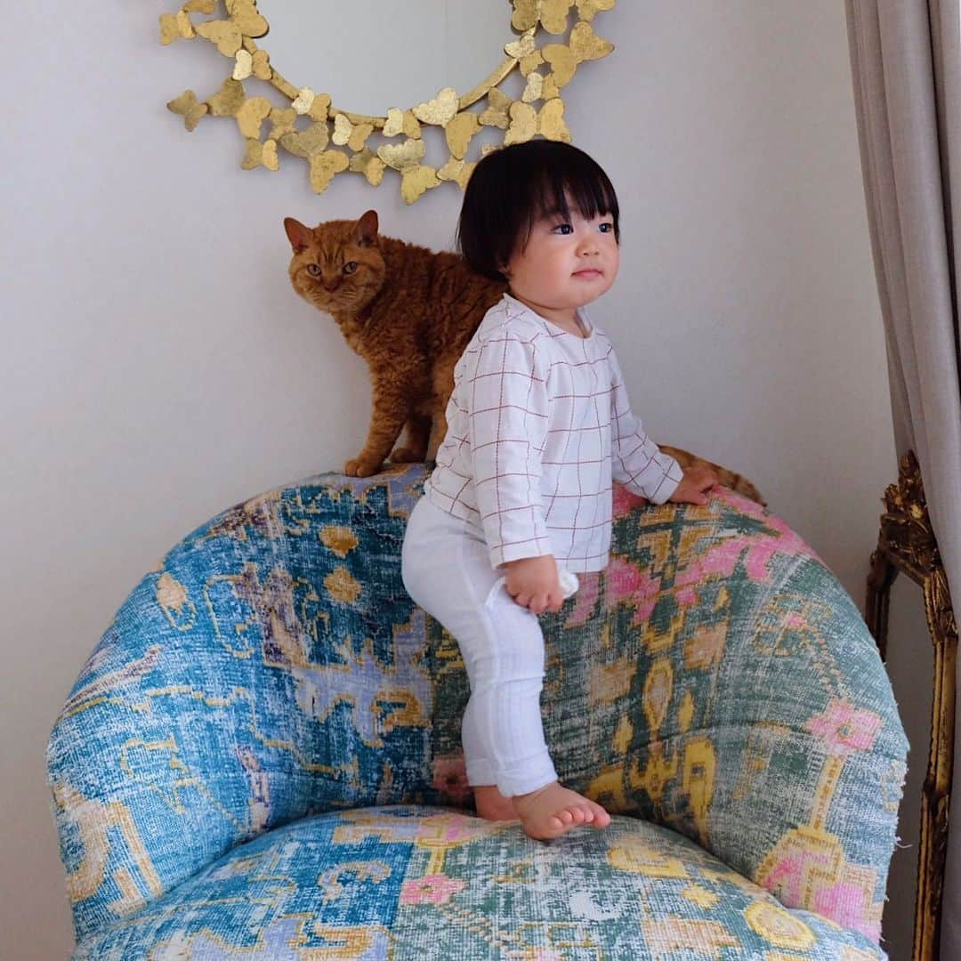 ギネス & ピムスさんのインスタグラム写真 - (ギネス & ピムスInstagram)「14/05/2020 Happy Thursday! ・ Three brothers sharing the arm chair. Have a good day everyone! #stayhome ・ ・ ロンドンから連れて帰った 家具はどれも大きく しっくり来る置き場所を いまだに模索中。笑 このアームチェアは消去法で ベッドルームへ。 懐かしい匂いがするのか ギネスがいつもころんとしています。 ・ ・ #ギネスくん　 #ピムスくん #ギネピムと凪くん  #1yearold #1歳 #1歳5ヶ月 #17monthsold  #babyboy #男の子ベビー #赤ちゃんのいる生活 #赤ちゃんのいる暮らし #赤ちゃんと猫 #猫と赤ちゃん #おうち時間」5月14日 22時30分 - rina_takei