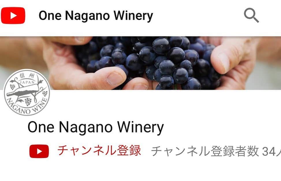 ひぐち君さんのインスタグラム写真 - (ひぐち君Instagram)「長野のワイナリーがワンチームとなり、長野から景色や元気を届ける取り組み《One Nagano Winery》が始動しました🍷 このYouTubeチャンネルでは、長野県のワイナリーの皆さまからメッセージをお届けしていくそうなので、ぜひチェックしてみてください👍 #onenaganowinery  https://m.youtube.com/channel/UCMC4gm3JkdIGWbH0Pnl8fDA #長野県 #nagano #日本ワイン　🇯🇵 #japanesewine #vinjaponais  #wine #vin #vino #winetime #winelover  #instawine #wineexpert」5月14日 22時44分 - higehiguchi