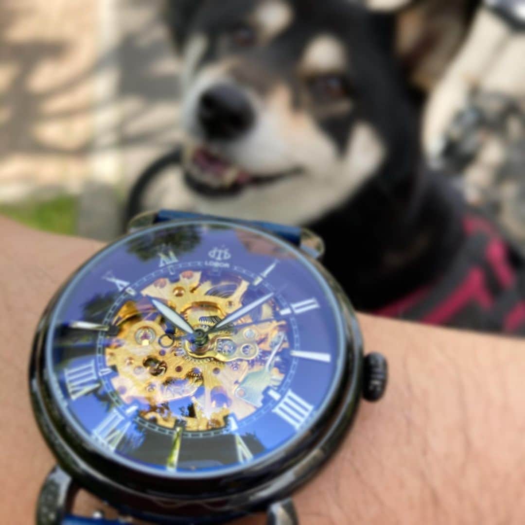 vo_coのインスタグラム：「@loborjapan さんから新しい時計を頂きました！  COSMOPOLITAN POMPIDOU BLUE 静謐で精緻な渋い時計です  クーポンコード 【vocodv】 ご使用で10パーセントオフになります！  #lobor #ロバー #腕時計 #時計 #手元倶楽部」