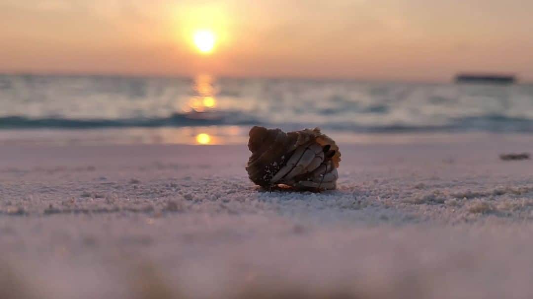 Conrad Hotelsのインスタグラム：「We're dreaming about our next visit to the beautiful Maldives, too.」