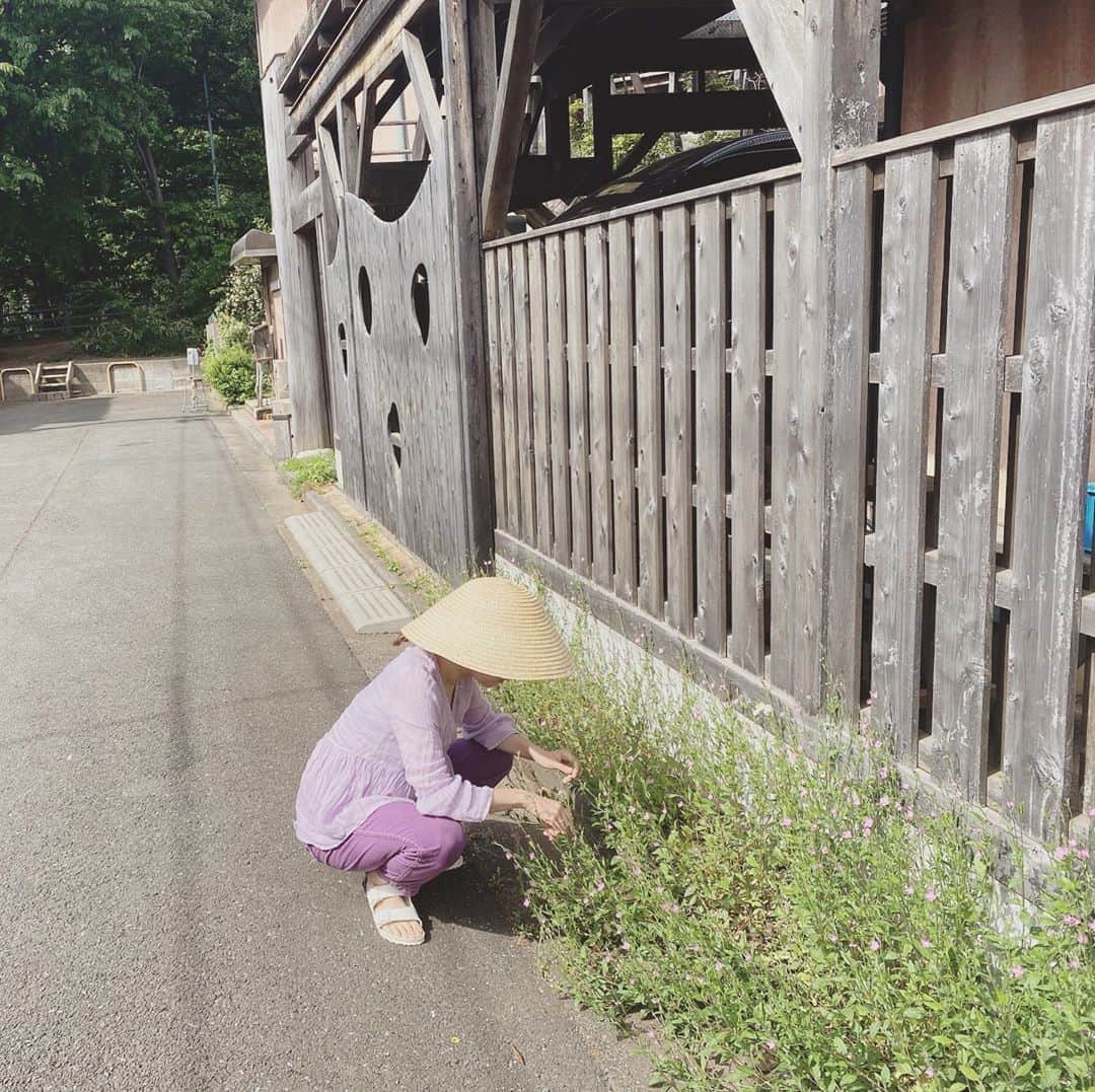 松本野々歩のインスタグラム：「亜細亜人 やっぱこの座り方 しっくりくるよね」
