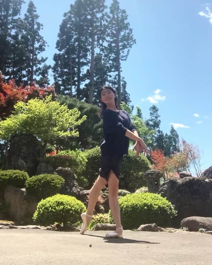 のインスタグラム：「. Windy day 🌬 #dancingathome」