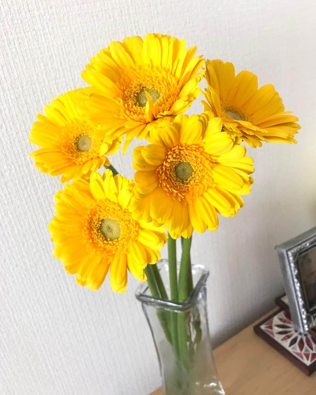 悠斗イリヤのインスタグラム：「. 駅前のお花屋さんで💐 ガーベラの花言葉は「感謝」 日々、感謝の気持ちを忘れずに過ごしたいですね☺️ 今日もすごく暑いから 水分補給はしっかりね！！ . . #ガーベラ #花言葉 #感謝」