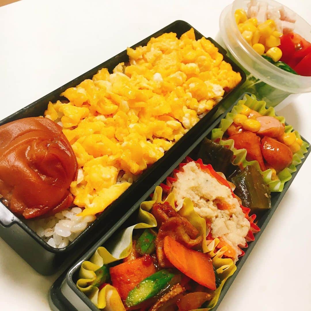 水野愛日のインスタグラム：「最近のお弁当  おうちにいても、ダラダラ食べを予防するため(笑)  朝のうちにササッとお昼用お弁当を作っておくことが多いです  たまに、買い物とお散歩がてら、近所のお店にテイクアウト買いに行くこともあります  両方楽しい！  #まなびごはん #お弁当 #お弁当記録 #ワンパターン弁当 #女子べんとう #女子弁当 #つくりおき弁当 #簡単弁当 #お弁当記録 #おべんとぐらむ #おべんとう作り楽しもう部  #うちで食べよう」