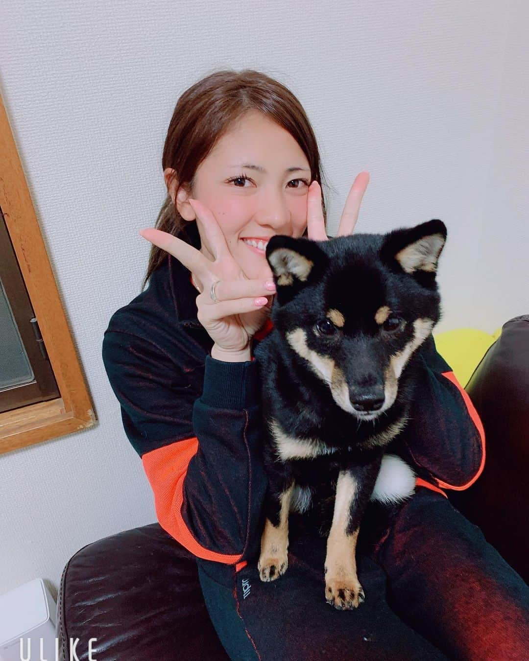 國武愛美さんのインスタグラム写真 - (國武愛美Instagram)「. 昨日は🐶愛犬の日🐶だったらしく(初めて知った🥺)れあくんとの出会いをちょっとだけ🤏❤︎ . . 実家でわんちゃん飼ってて、ずっと欲しいなぁーー飼いたいなぁーーって思ってたんです🥶ペットショップでわんちゃんみるの好きで、ペットショップ立ち寄ってわんちゃん見たりとかいつもしてました🐶れあを見つけた日もなんとなーくふら〜っと寄ったイオンのペットショップでその日デビューだった黒豆柴くんに出会いました👏🏾その子がれあくん✌︎ 出会うってこーゆーことなんだって🙄🙄よく聞くけど絶対そんなことないっしょ〜って私信じてなかったんですけど、出会いましたね。この子がいい！！！って、この子飼いたいっ！って本気で思って、、顔もかわいかったから今日決めなきゃ絶対次来たときにはもう居なくなってるって思ってその日に決断。。笑 決断してよかったってすっごく思います💗💗 毎日たくさんの癒しをくれるれあくん🙌🏽悪いこともするしハイパー元気で手に負えない時もあるけど🐶🤣(おすわりしかできなくて落ち着きがなくてバカ走りたくさんして大変だけど笑) やっぱりこの子にしてよかったってすっごく思います🥰 . . 簡単だけどこんな感じでれあくんと一緒に生きていくことになりました😚👏🏾👏🏾 みんなに可愛がられて幸せです🥶💗 これからもよろしくね〜れあくん🐶✌︎ . . #愛犬の日 #愛犬 #黒柴 #豆柴 #れあ #le'a #幸福 #幸せ #れあとの出会い」5月14日 16時01分 - kunitake_aimi