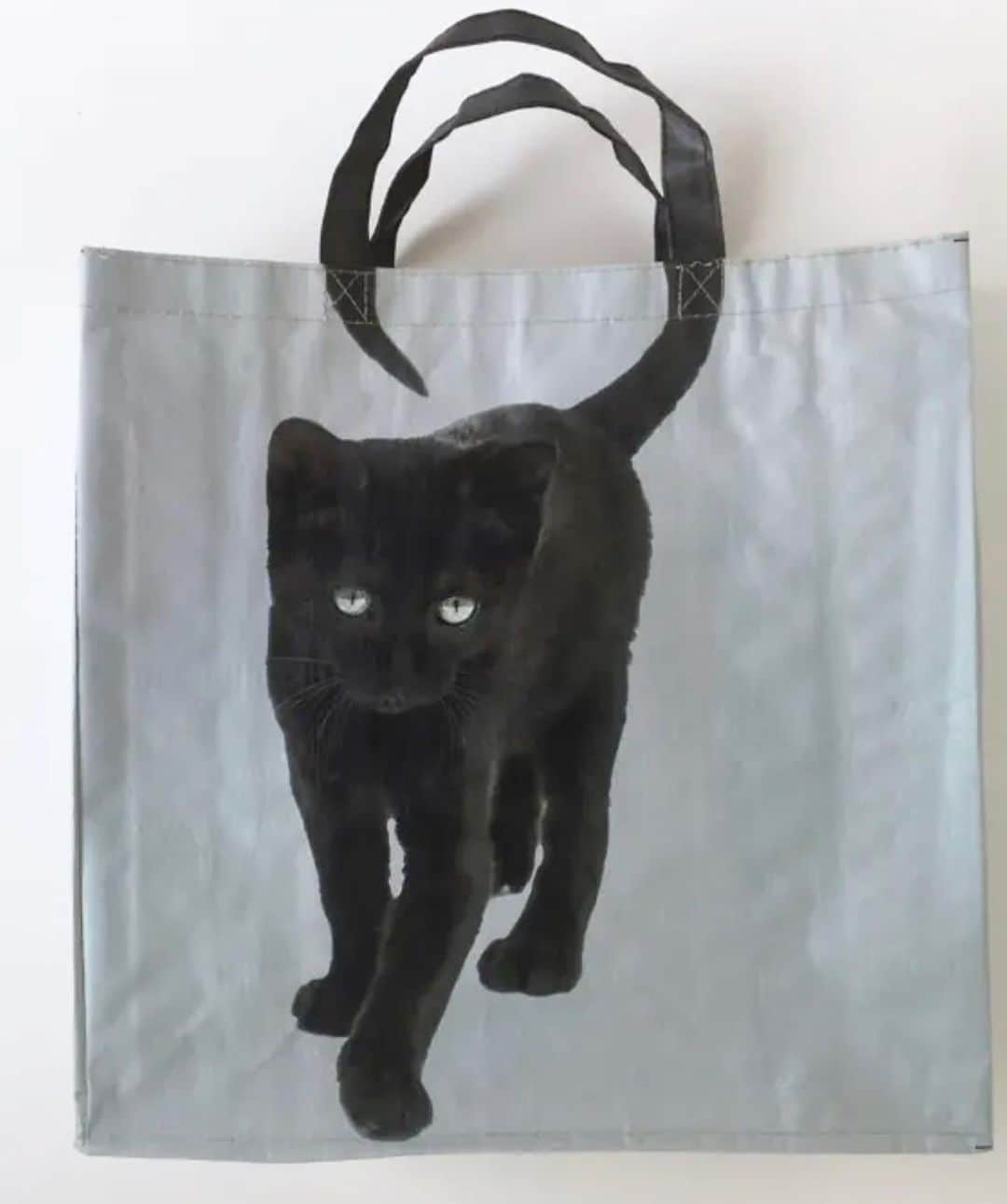 小林ひろ美のインスタグラム：「黒ネコのバッグ見つけた😻 ※ #660円  #黒ネコのバッグ #キジ猫のもあった #ねこすたぐらむ  #blackcat #catstagram」