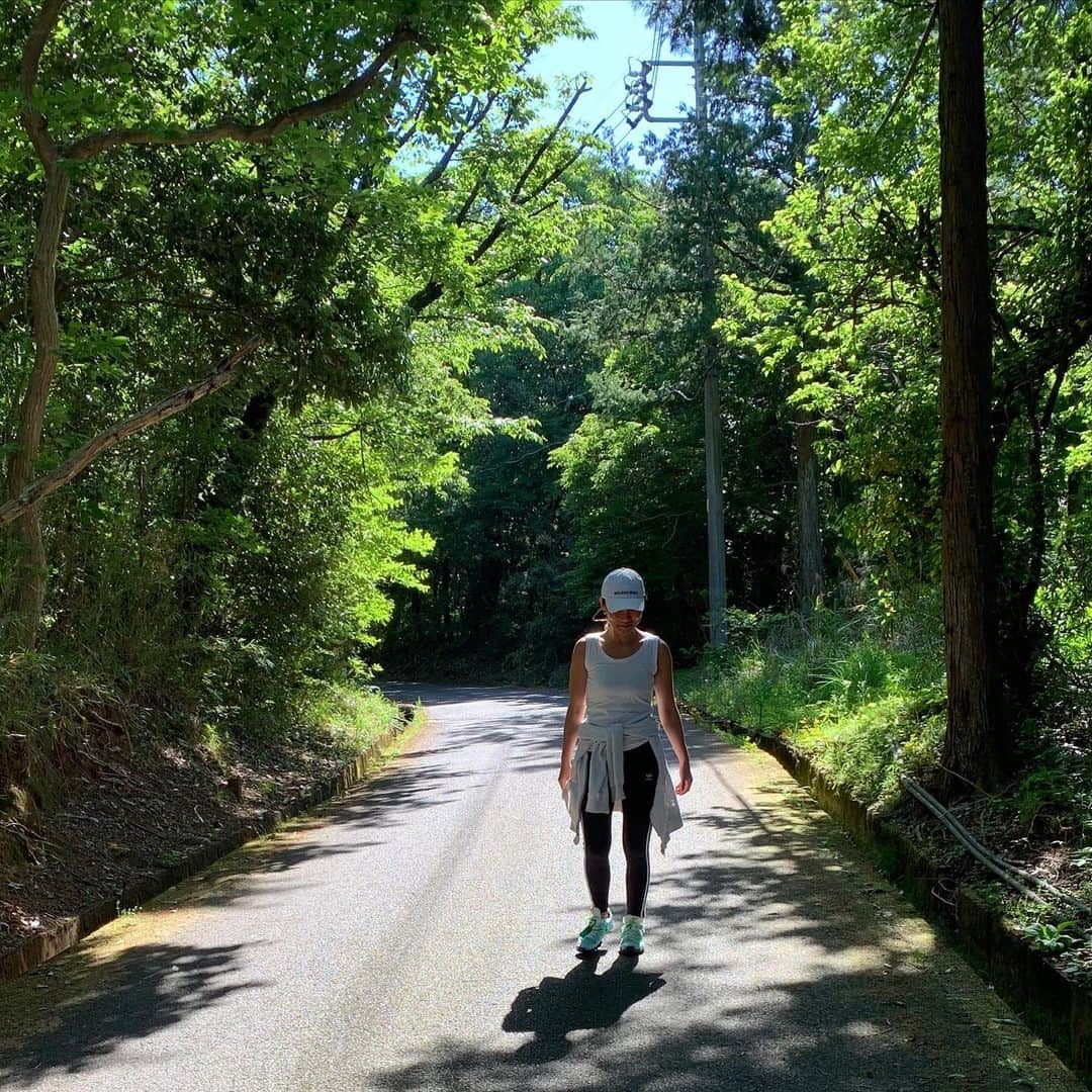 mitsuxmitsu24のインスタグラム：「Morning walk * * リモートワークになりもうすぐ1ヶ月。 * 朝早く起きて散歩する山は、清々しい風が昨日までをリセットして新しい1日を運んでくれる。 * ちょっと海と似てる。 私の中での海と山の役割。 * * #朝さんぽ  #リモートワーク #ママサーファー #山歩き」