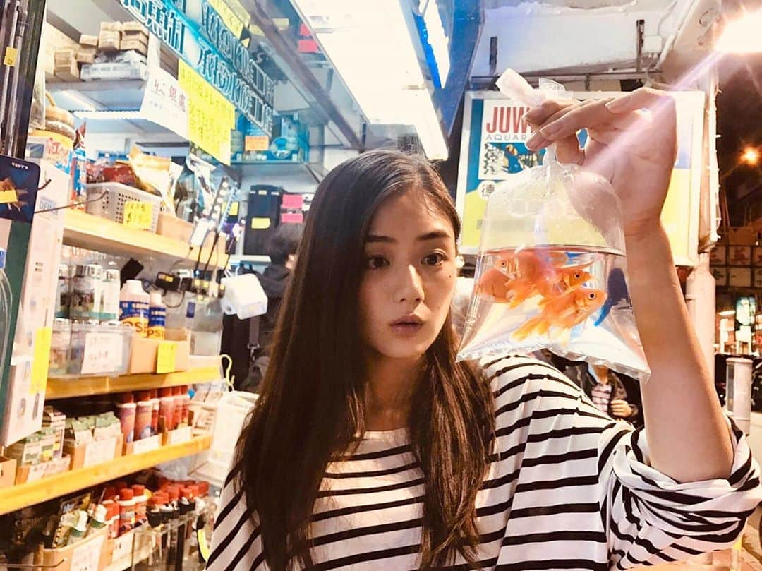 片山萌美さんのインスタグラム写真 - (片山萌美Instagram)「香港🇭🇰 Hong Kong 活気があって、人間の生命を感じた国です。 おかゆ美味しかったなぁ🤤  #香港撮影 #mv #sim #過去pic」5月14日 16時37分 - moet_mi