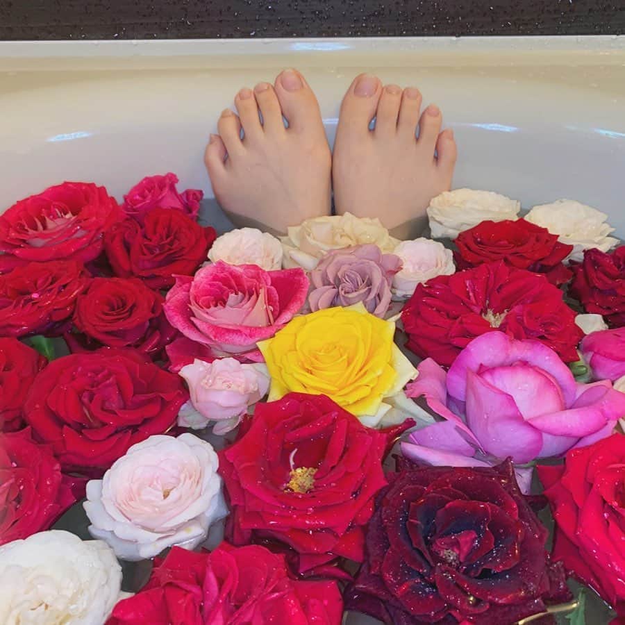 長尾しおりさんのインスタグラム写真 - (長尾しおりInstagram)「🥀﻿ ﻿ ﻿ ﻿ ロスフラワーでバラ風呂をしました〜好きなお花です﻿ ﻿ ﻿ ﻿ #ロスフラワー #バラ風呂 #お風呂 #お風呂タイム #薔薇風呂 #バラ #ローズ #おうち時間」5月14日 16時50分 - shiori_nagao