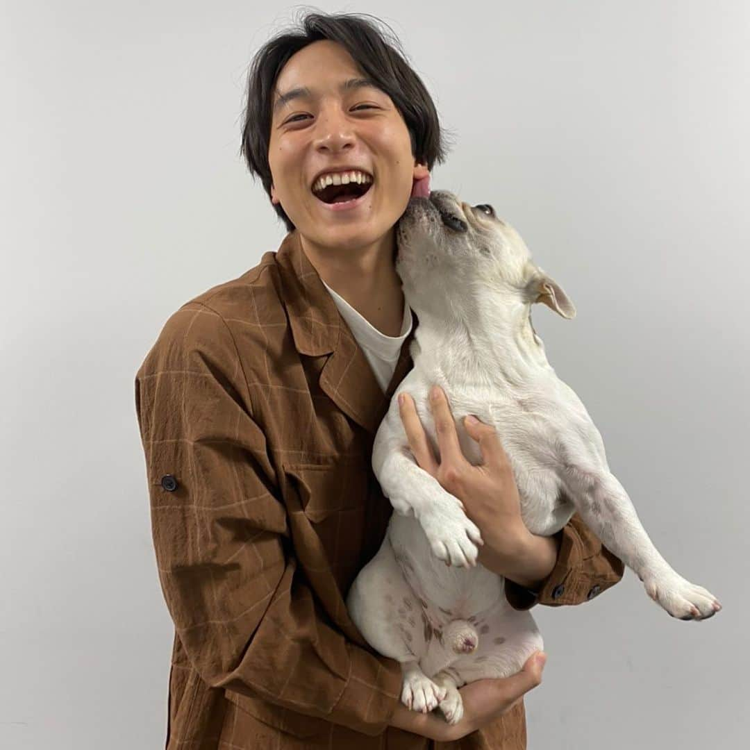 テレビ東京「どうぶつピース‼︎」さんのインスタグラム写真 - (テレビ東京「どうぶつピース‼︎」Instagram)「本日５月14日夜６時２５分からのどうぶつピース!!は、リモート収録にてお届けします🐶✨. 小関裕太さんもリモートで参加してくれました❣️. . 「愛犬と飼い主の再会物語」. ワケあって離れ離れになってしまった愛犬と飼い主さんの再会に密着！. 進学のため、上京している飼い主さんが久しぶりに実家に帰る💨. 待ち続けた愛犬‥そこには飼い主さんとの絆が！？. . 「クイズ！このあとどうなる？」. どうぶつたちが見せる予期せぬ展開！？. どうぶつたちが繰り広げる意外な行動に、驚くこと間違いなし！？😉. このあとどうなるかテレビの前の皆さんの一緒にお考え下さい🔎. . 「我が家のバズり動画」. SNSで話題になったどうぶつたちが大集合🐶🐱. 超能力が使えるネコ？😸. あるどうぶつに変身する犬？🐶. 世間を賑わせたどうぶつたちをお見逃しなく！. . 「がっつきグルメ」. 可愛くて見ているとほっこりする珍獣たちのめったに食べられないがっつきグルメを 幸せそうに食べる姿をウォッチング👀. 今回はこの企画、初登場のあの激カワ珍獣が登場しちゃいます✨. . 「猫ジャーナル」. いま話題のネコちゃんをご紹介😻. 登校する男の子のランドセルの上に‥ネコが！？. その男の子が今年の４月に小学校を卒業🎓. もう一緒に登校することはできないの‥？. さらに、日本に20匹しかいないマヌルネコの出産から子供たちのデビューするまでに密着！. 出産後、マヌルネコのお母さんの体調が悪化💦. 飼育員さんたちは苦渋の決断をすることに！？. 飼育員さんとマヌルネコの赤ちゃんの奮闘記📖. . 番組ではペットの動画と写真の投稿をお待ちしております。. 皆さん、自慢のペットをテレビデビューさせちゃいましょう📺. . 詳しくは番組ホームページをcheck✔️. . . . . #どうぶつピース  #ぴーす君 #テレビ東京 #tvtokyo  #オードリー #若林正恭 #春日俊彰 #大政絢 #ゲスト名前 #犬 #dog #わんこ #猫 #cat #ニャンコ #動物 #どうぶつ #animal #赤ちゃん #かわいい」5月14日 17時29分 - doubutsupeace