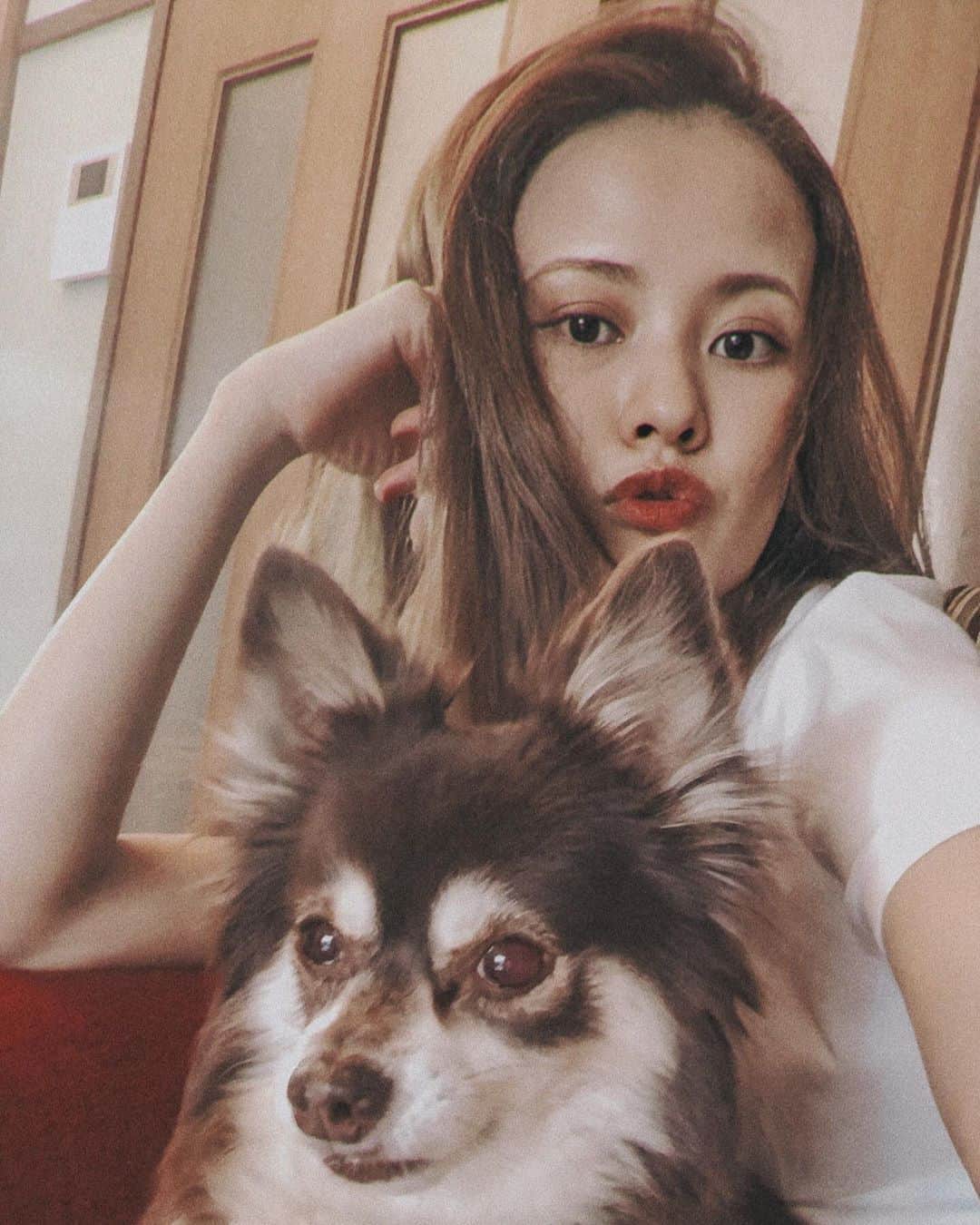 MiracleVellMagicのインスタグラム：「🐶 ☕️❤︎ #今日の夜22時からインスタライブしようか」