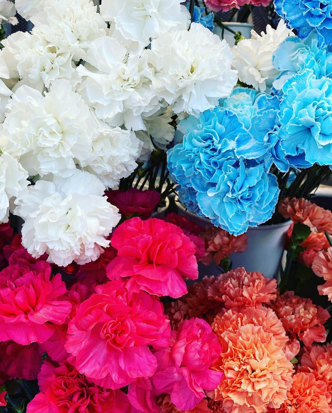 とぎもちさんのインスタグラム写真 - (とぎもちInstagram)「.﻿ お花屋さん﻿ カーネーションいっぱい💕﻿ ﻿ もう過ぎましたが﻿ 韓国はオボイナルという父母の日があります♪﻿ ﻿ 今年は大福を作って﻿ プレゼントしました🎁💕﻿ ﻿ なにか買うより﻿ 手作りの方が喜んでくれるので﻿ 毎回手作りです😊✨﻿ .﻿ #韓国 #オボイナル #오버이날  #토기모치 #とぎもちkorea」5月14日 17時26分 - togistagram