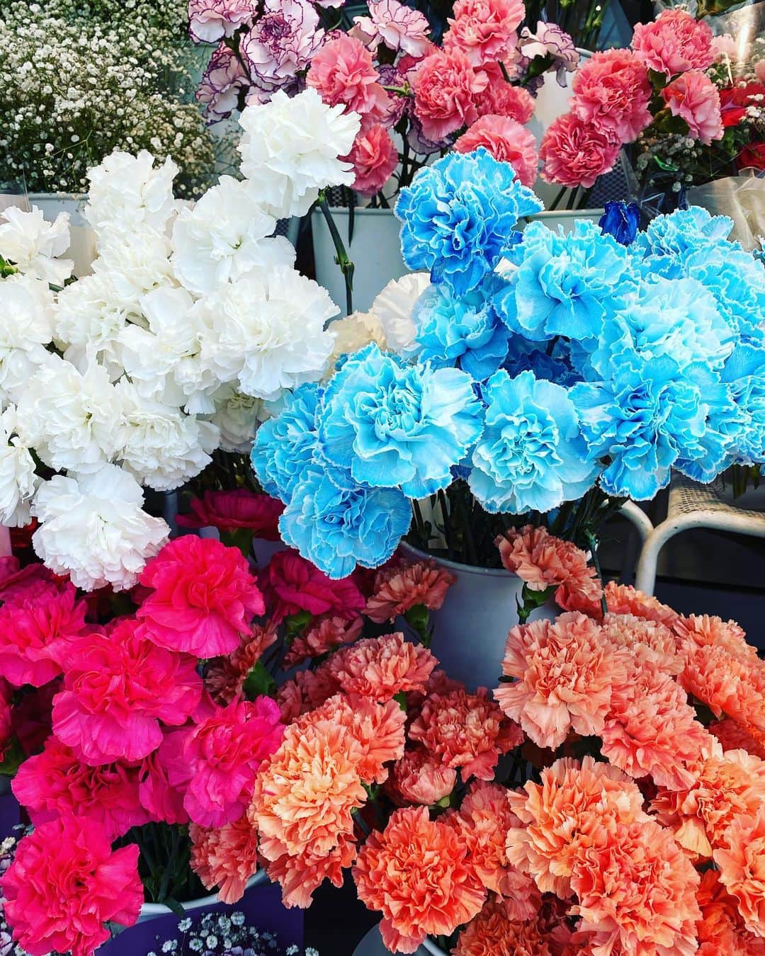 とぎもちさんのインスタグラム写真 - (とぎもちInstagram)「.﻿ お花屋さん﻿ カーネーションいっぱい💕﻿ ﻿ もう過ぎましたが﻿ 韓国はオボイナルという父母の日があります♪﻿ ﻿ 今年は大福を作って﻿ プレゼントしました🎁💕﻿ ﻿ なにか買うより﻿ 手作りの方が喜んでくれるので﻿ 毎回手作りです😊✨﻿ .﻿ #韓国 #オボイナル #오버이날  #토기모치 #とぎもちkorea」5月14日 17時26分 - togistagram
