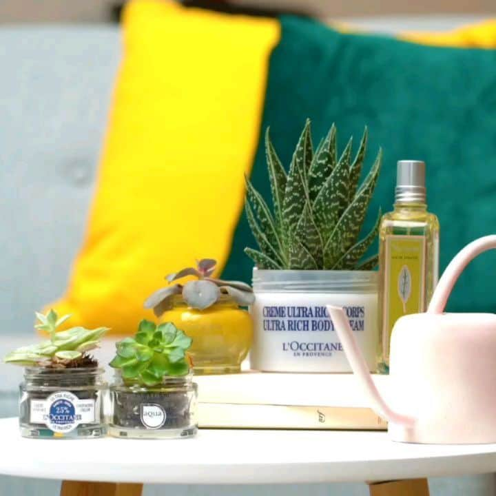 L'OCCITANE en Provenceのインスタグラム