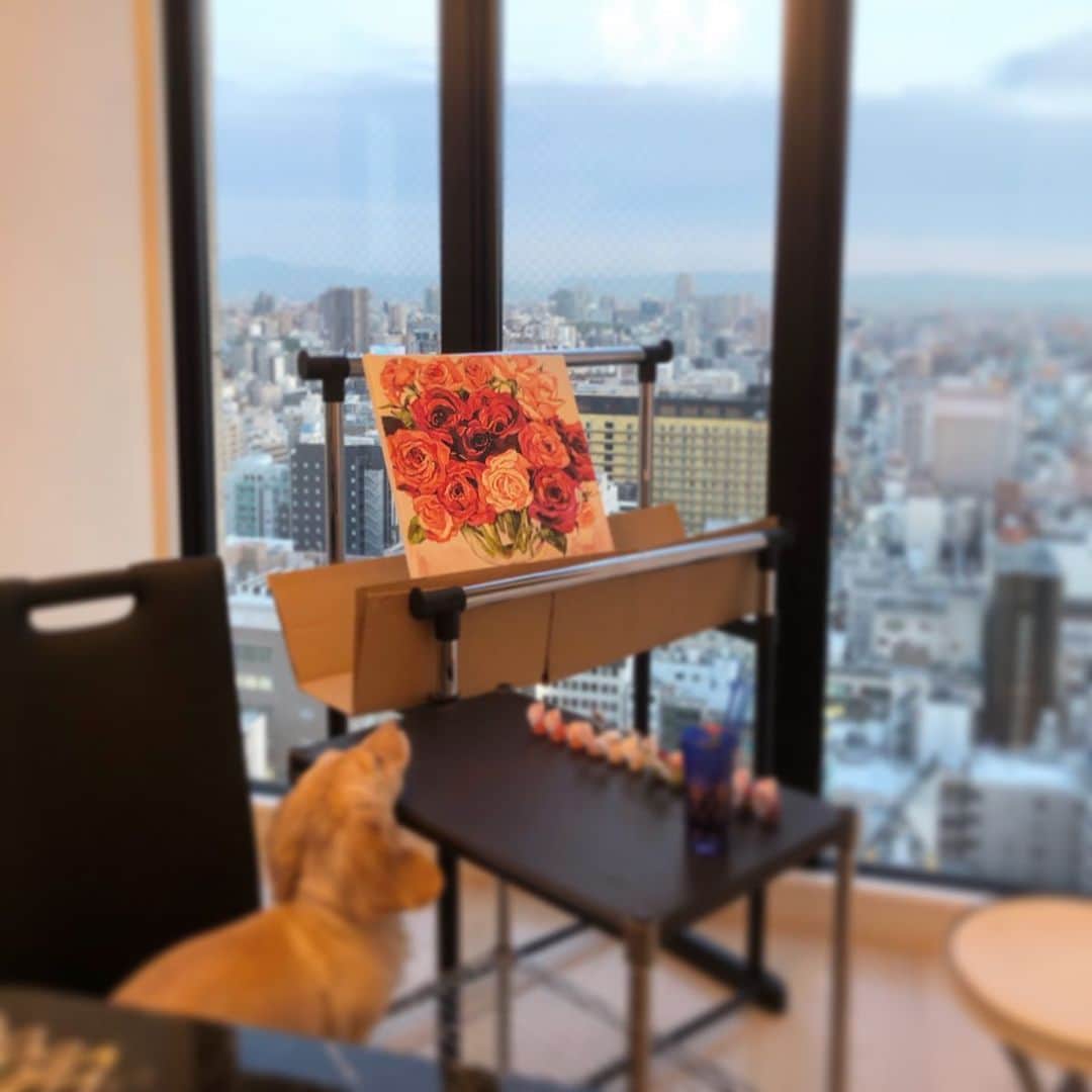 鈴木絢子さんのインスタグラム写真 - (鈴木絢子Instagram)「・ ・ 【stay home絵画🖋】 完全自粛モードだったGWは、、 『隠居したら犬に囲まれて絵を描く』という夢が早くも叶ってしまいましたw ・ 風水で寝室に花の絵を飾ると良い、とのことで💐 ハンガーラックと段ボールで#簡易アトリエ を作成🤗 ・ 丸一日集中して絵を描く、というなかなか無い体験。。 家にいるから出来ることが見つかった有意義な時間になりました✊ ・ #緊急自体宣言解除 という前向きなニュースもあり🌟 そろそろ再起動の気合いを入れたいと思います🤗 ・ ・ ・ #油絵 #絵画 #アート #犬 #犬との生活 #ミニチュアダックス #ダックス多頭飼い #犬バカ部 #犬との時間 #簡易アトリエ #脱巣ごもり #薔薇のある暮らし #DIY #dogstagram #stayhome #art #Flower #🐶🐶 #🖼 #💐」5月14日 23時36分 - ayako_suzuki810
